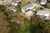 72 Sherson Street photo 23
