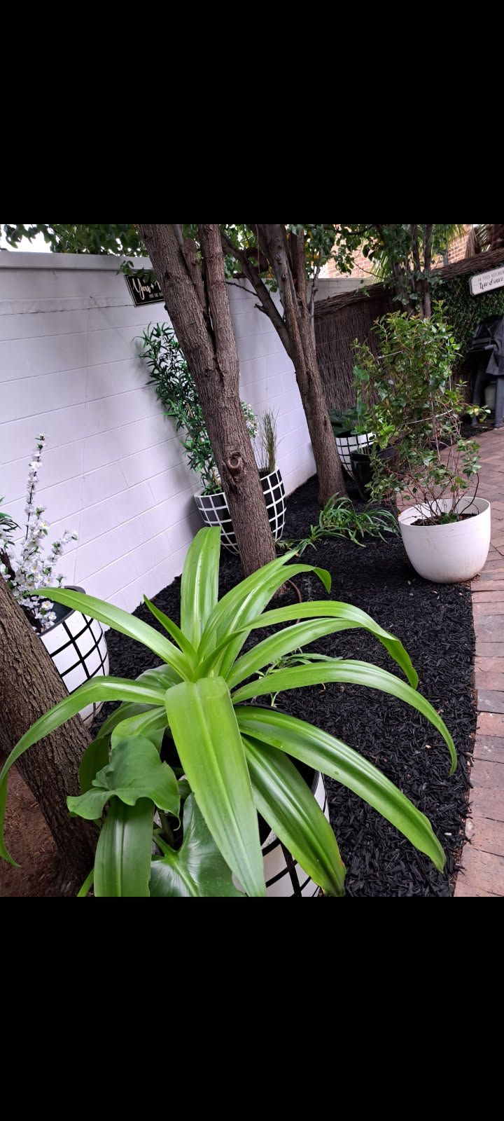 17/2-6 Margaret Street — photo 17 of 18