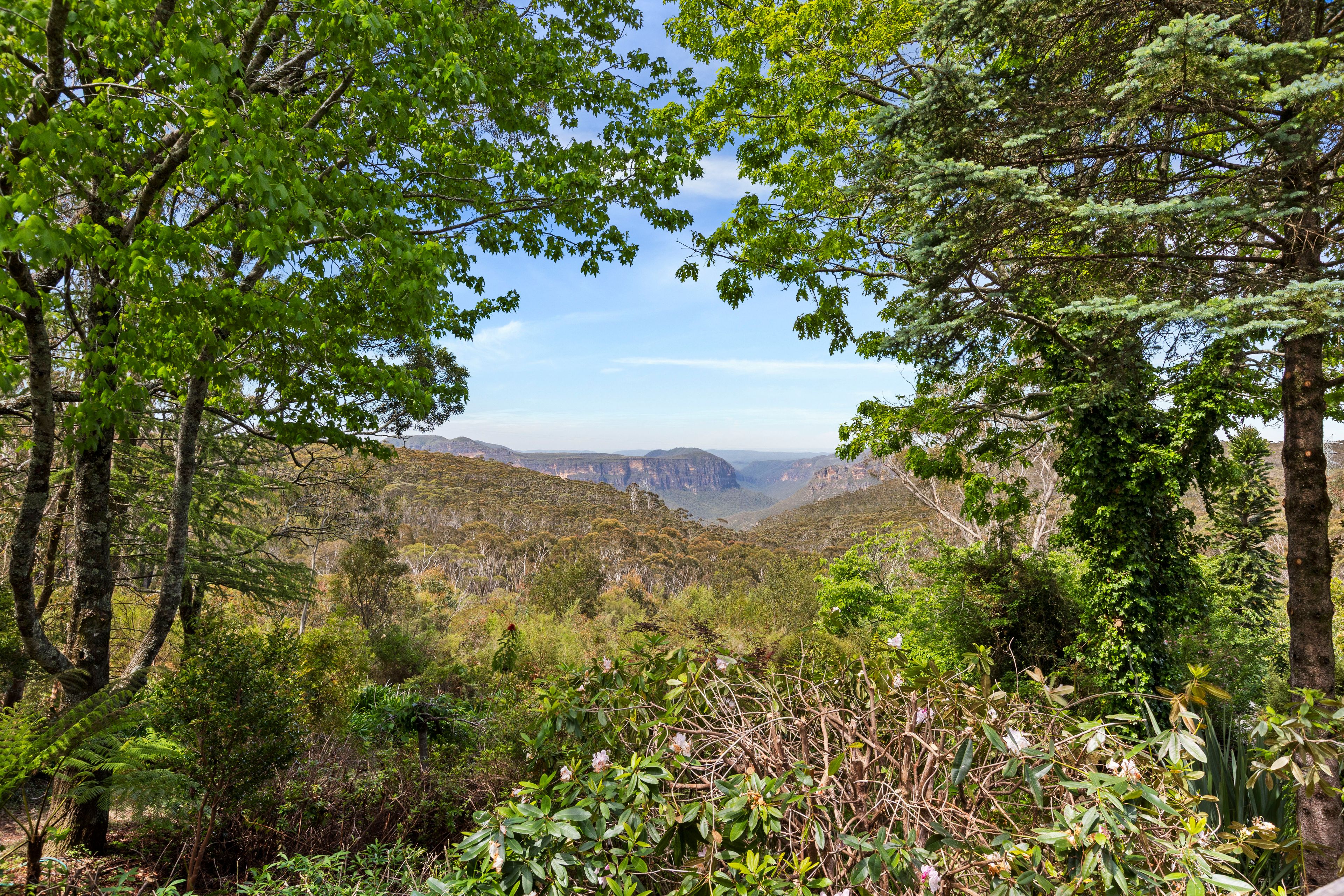 24 Days Crescent, Blackheath, NSW 2785