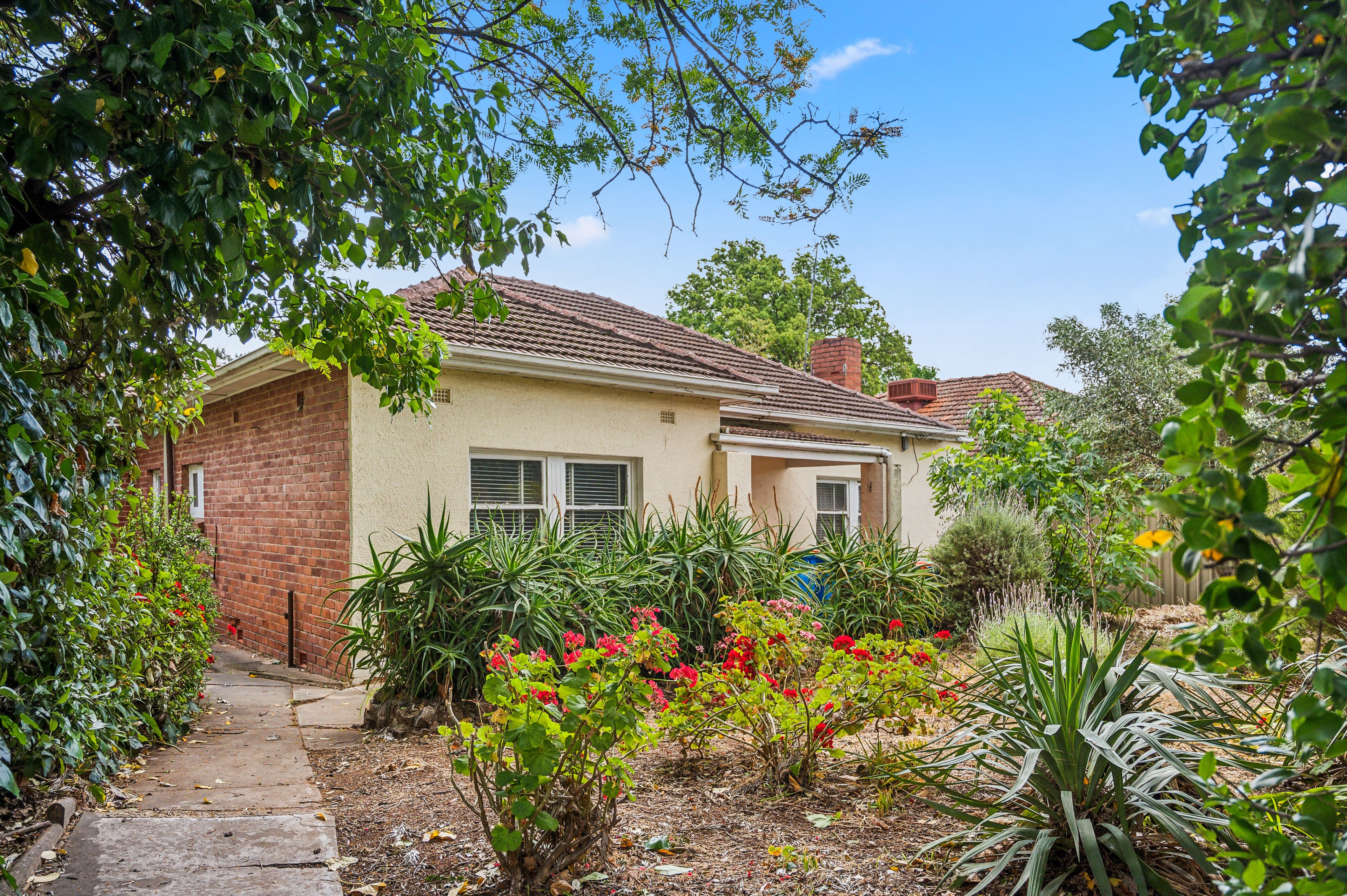 23 Primrose Terrace, Rosslyn Park, SA 5072