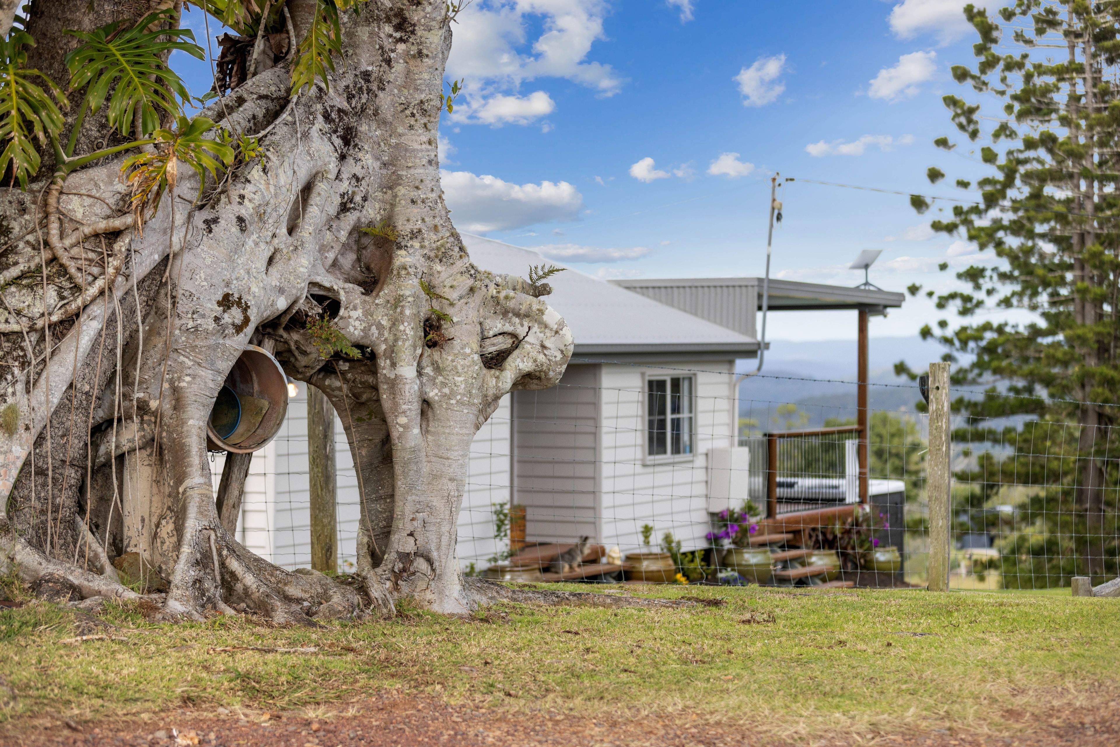 1150 MalenyStanley River Road, Booroobin, QLD 4552 Sold Rural