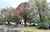 35 Stonebridge Way photo 1