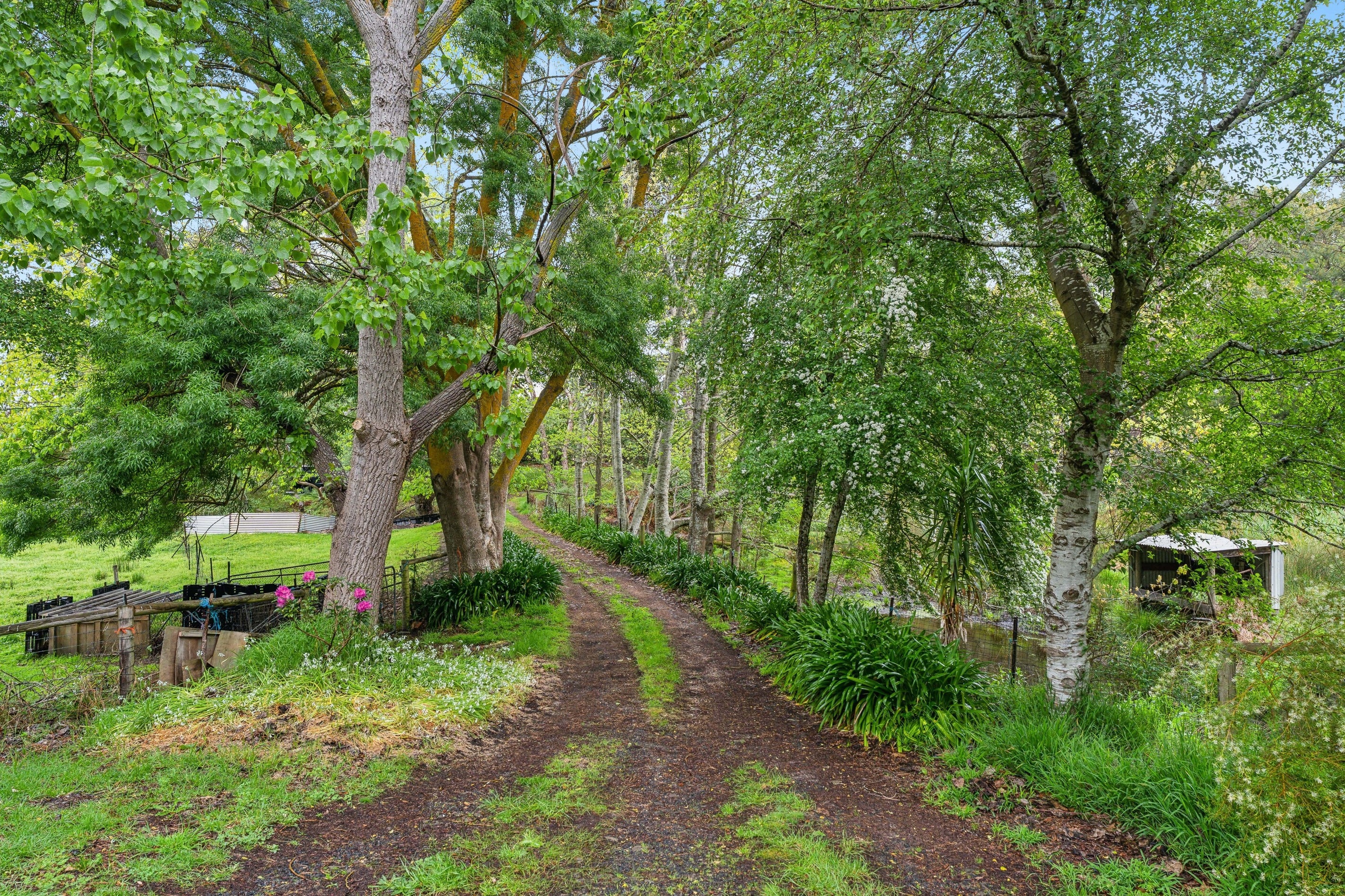 113 Boyle Swamp Road, Mylor, SA 5153