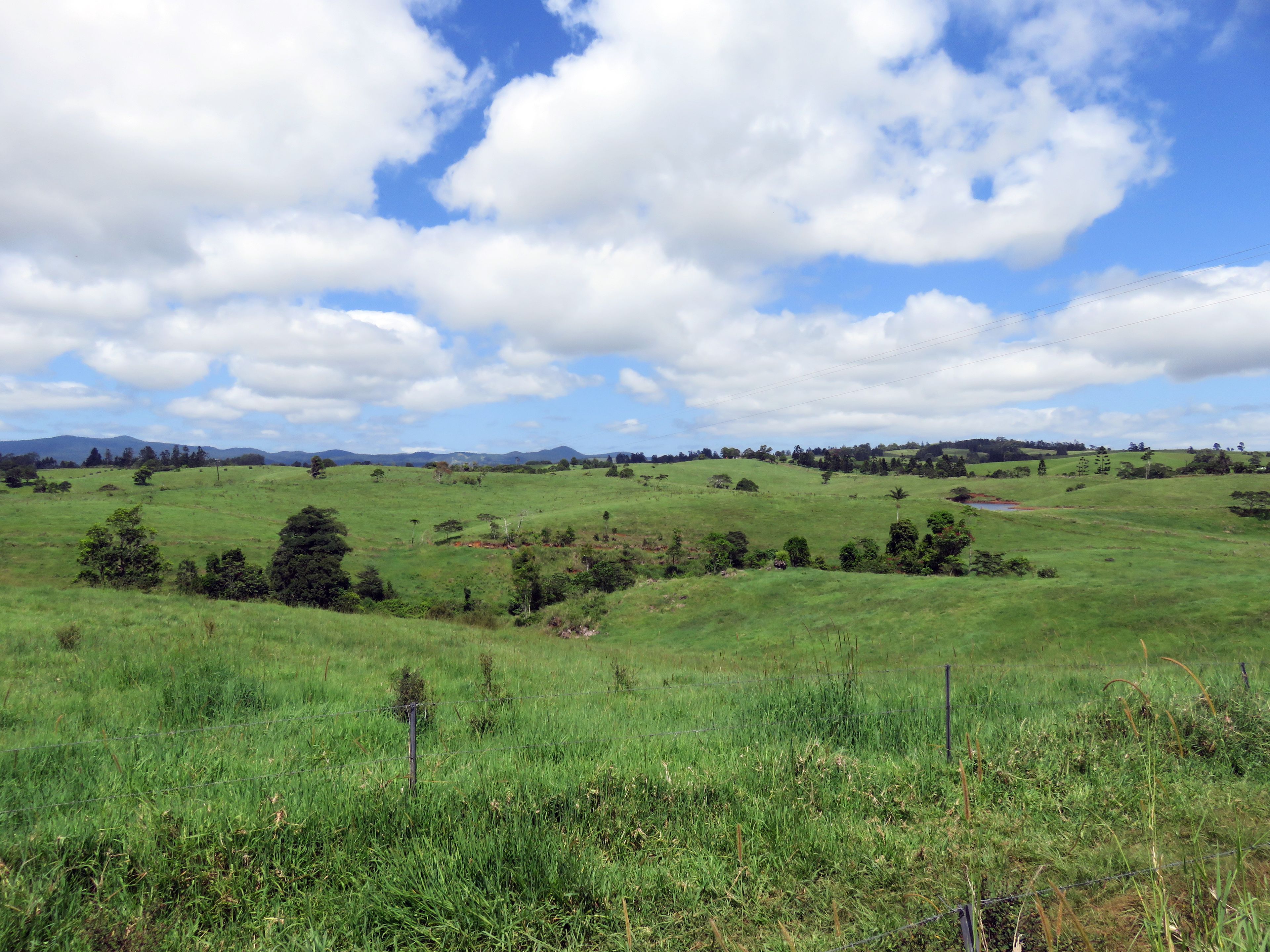 Ray White Rural Queensland