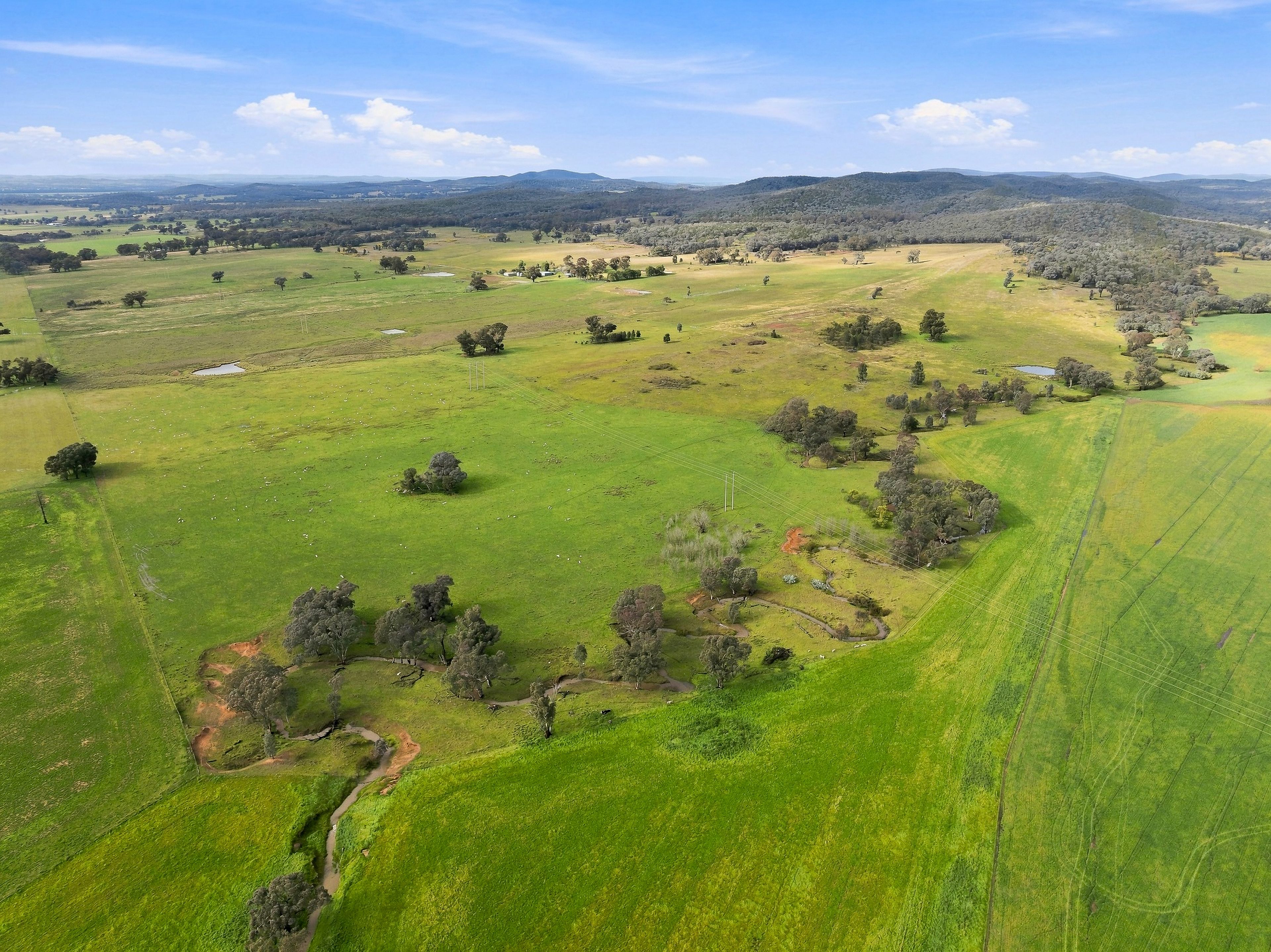 'Merrivale' 358 Goodwins Lookout Road — photo 10 of 16