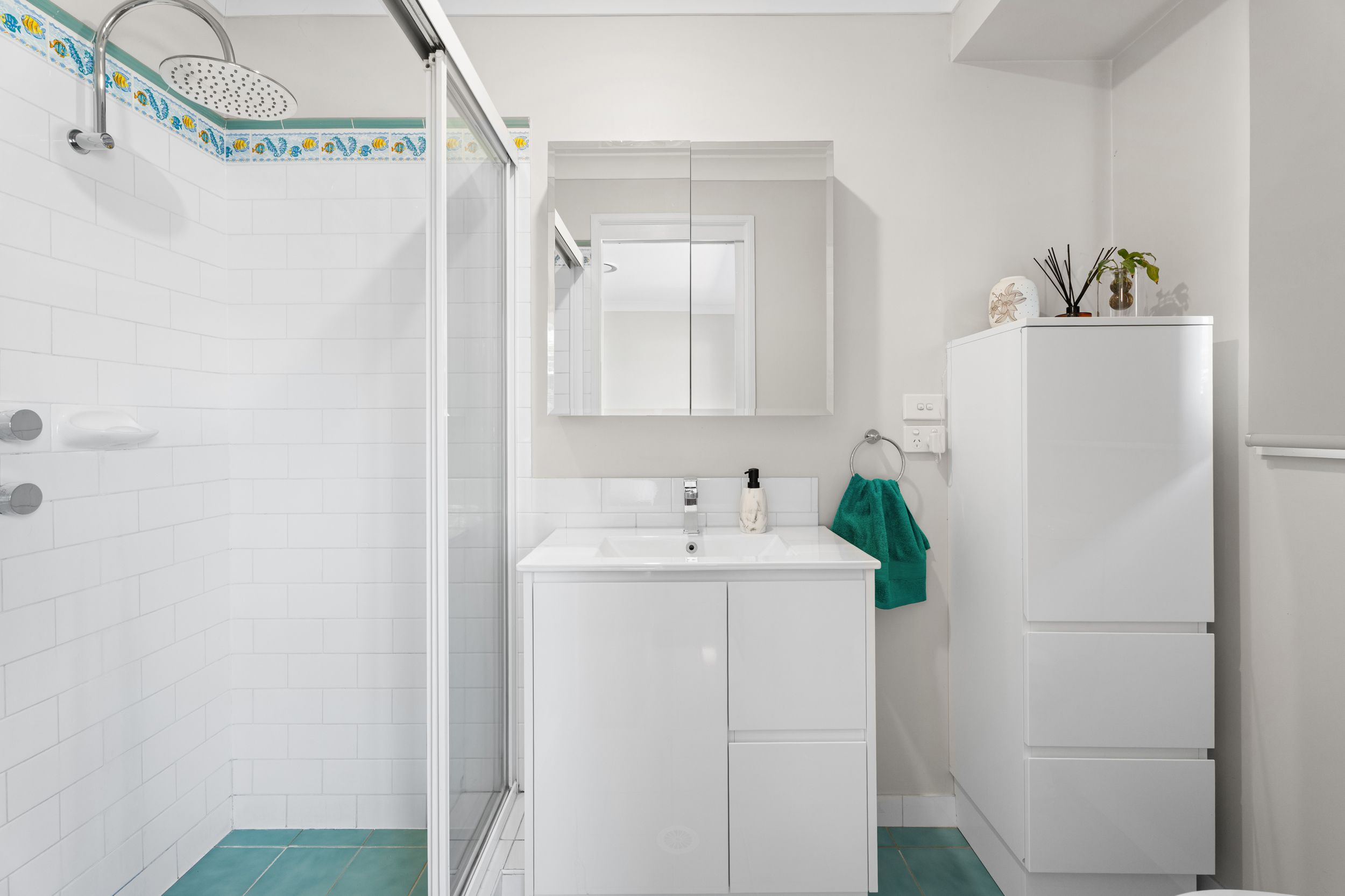 3 Birkdale Circuit, Glenmore Park, NSW