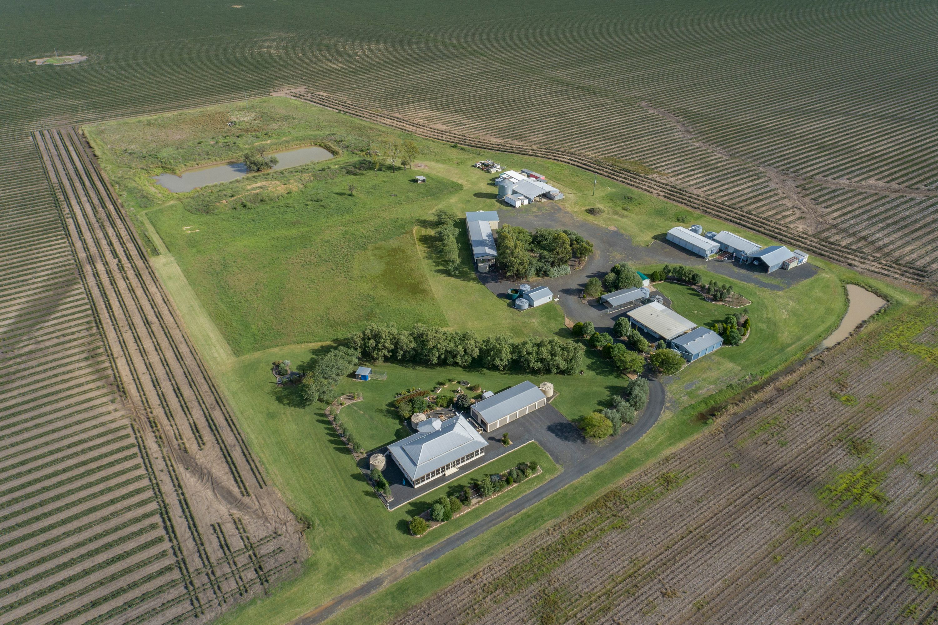 1003 Blaxland Irvingdale Road, Blaxland QLD 4405