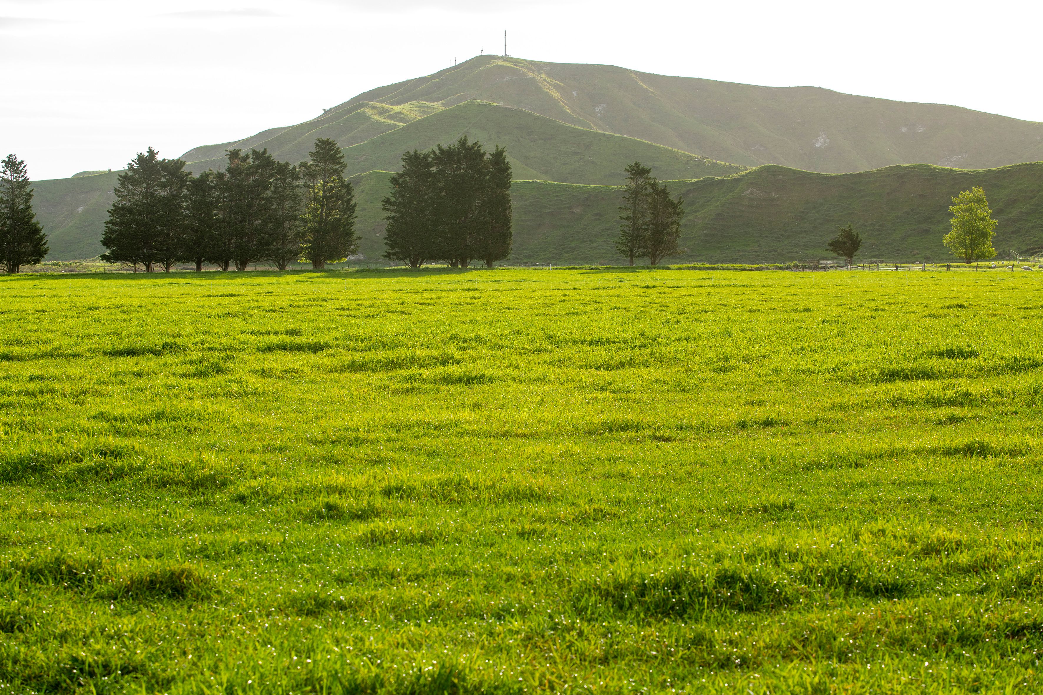 2225 State Highway 2, Whakaki, Wairoa District