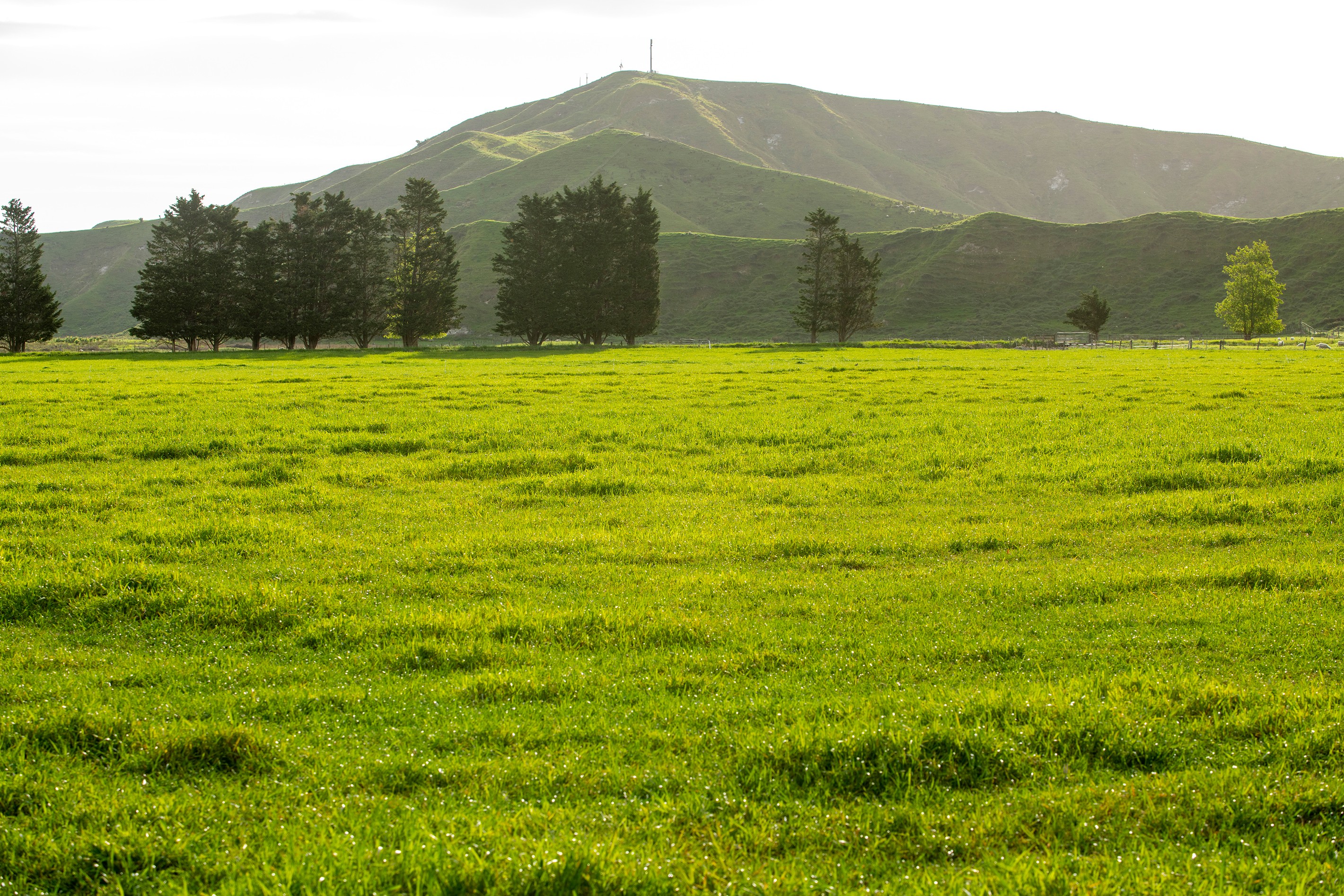 2225 State Highway 2, Whakaki, Wairoa District