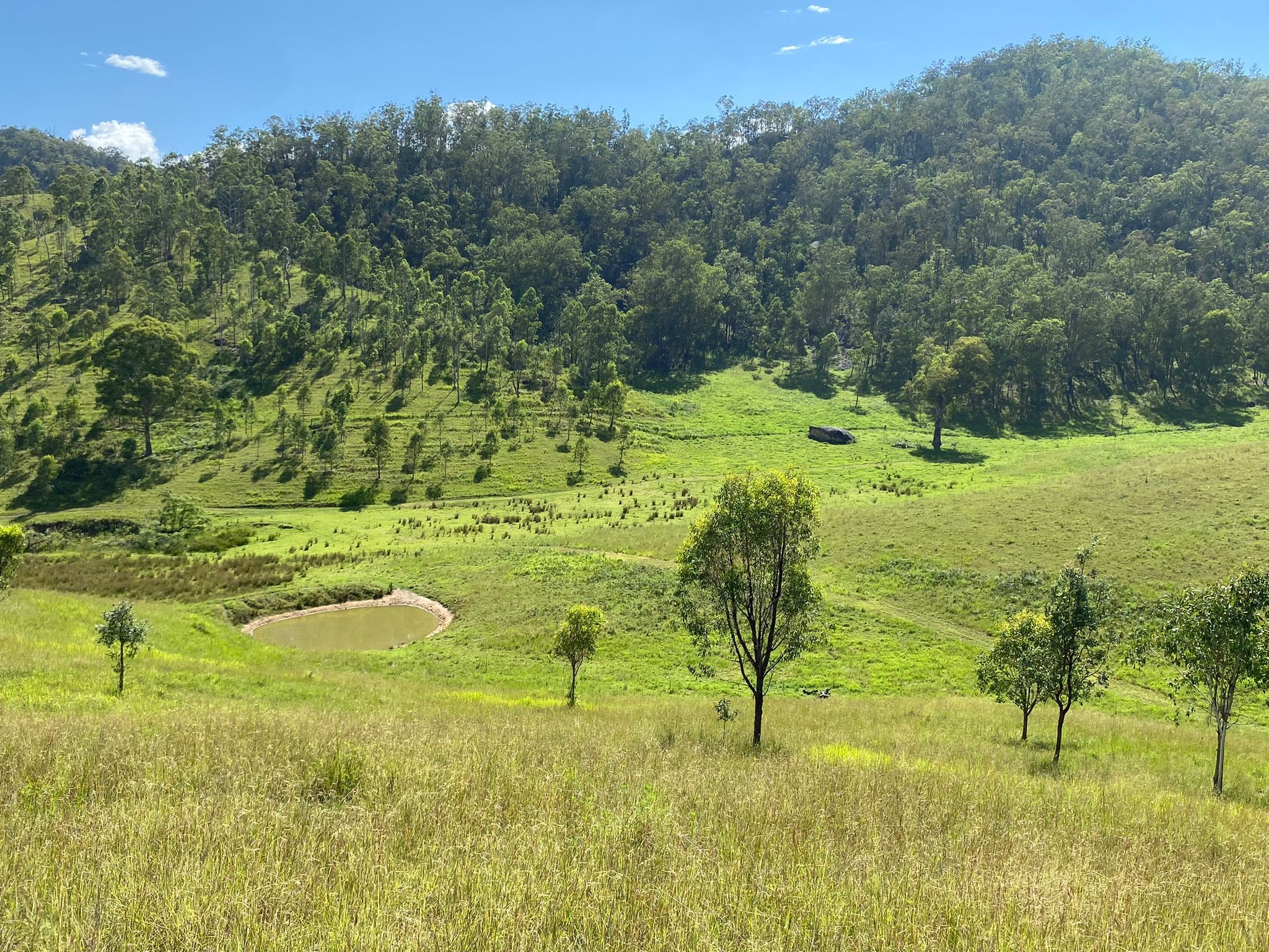 Lot 31 Rocky River Road, Rocky River via, Tabulam, NSW 2469