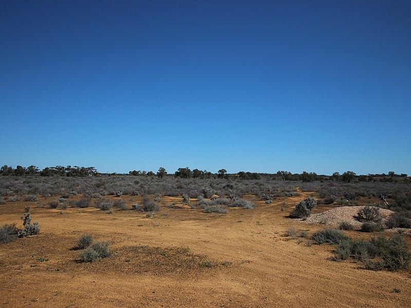 Lot 366 Ring Road, Morgan, SA 5320