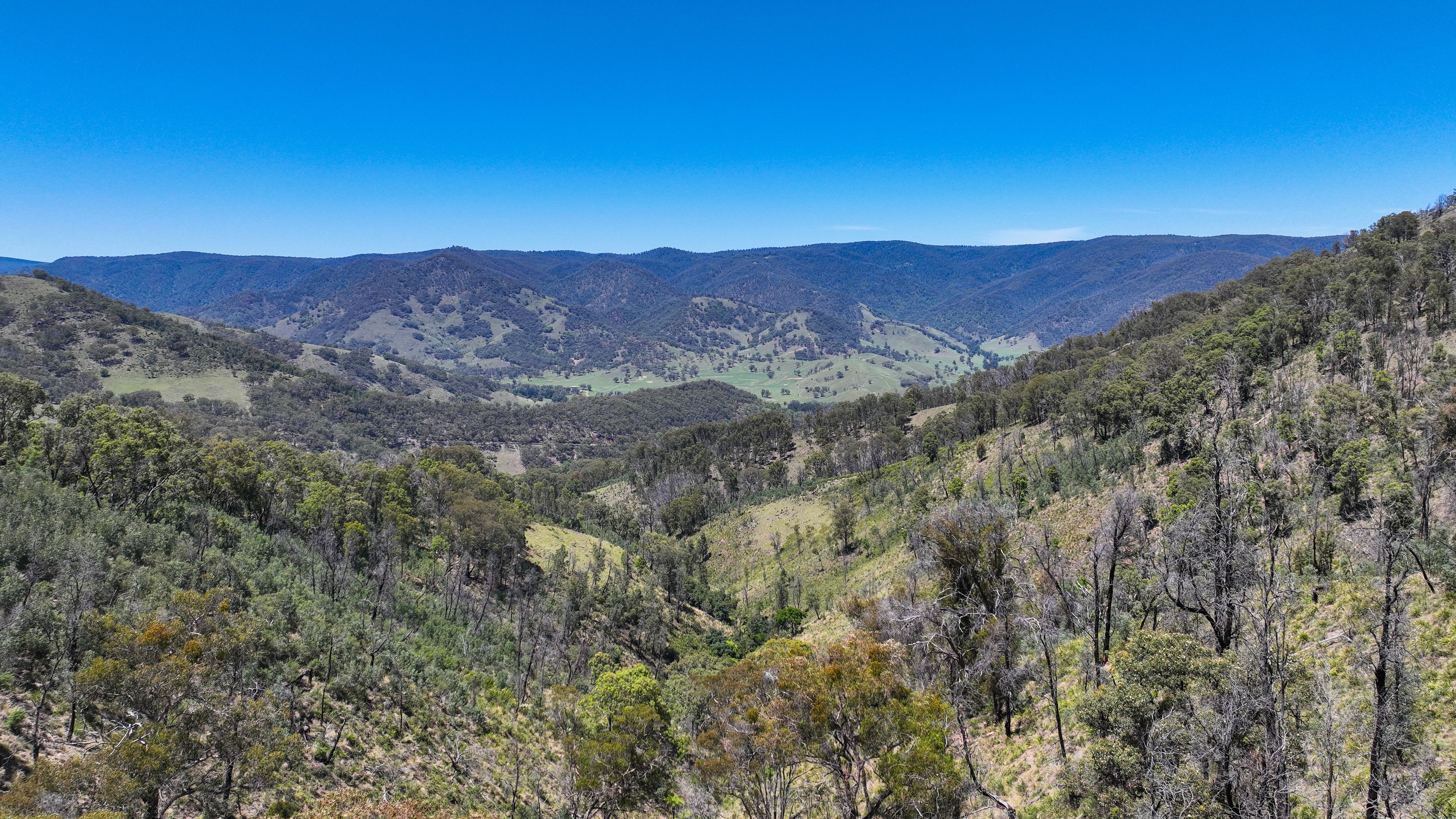 10 Nowendoc Road, Ogunbil, NSW 2340 Rural Property for Sale Ray