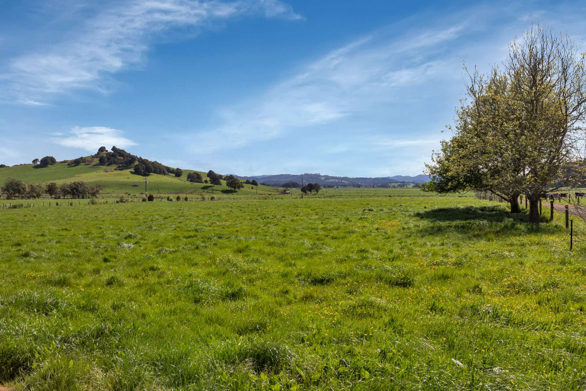 289 Hukerenui Road photo 9