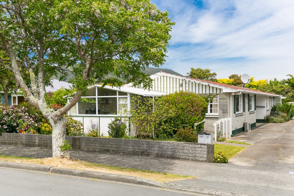 60 Epuni Street, Epuni, Lower Hutt City