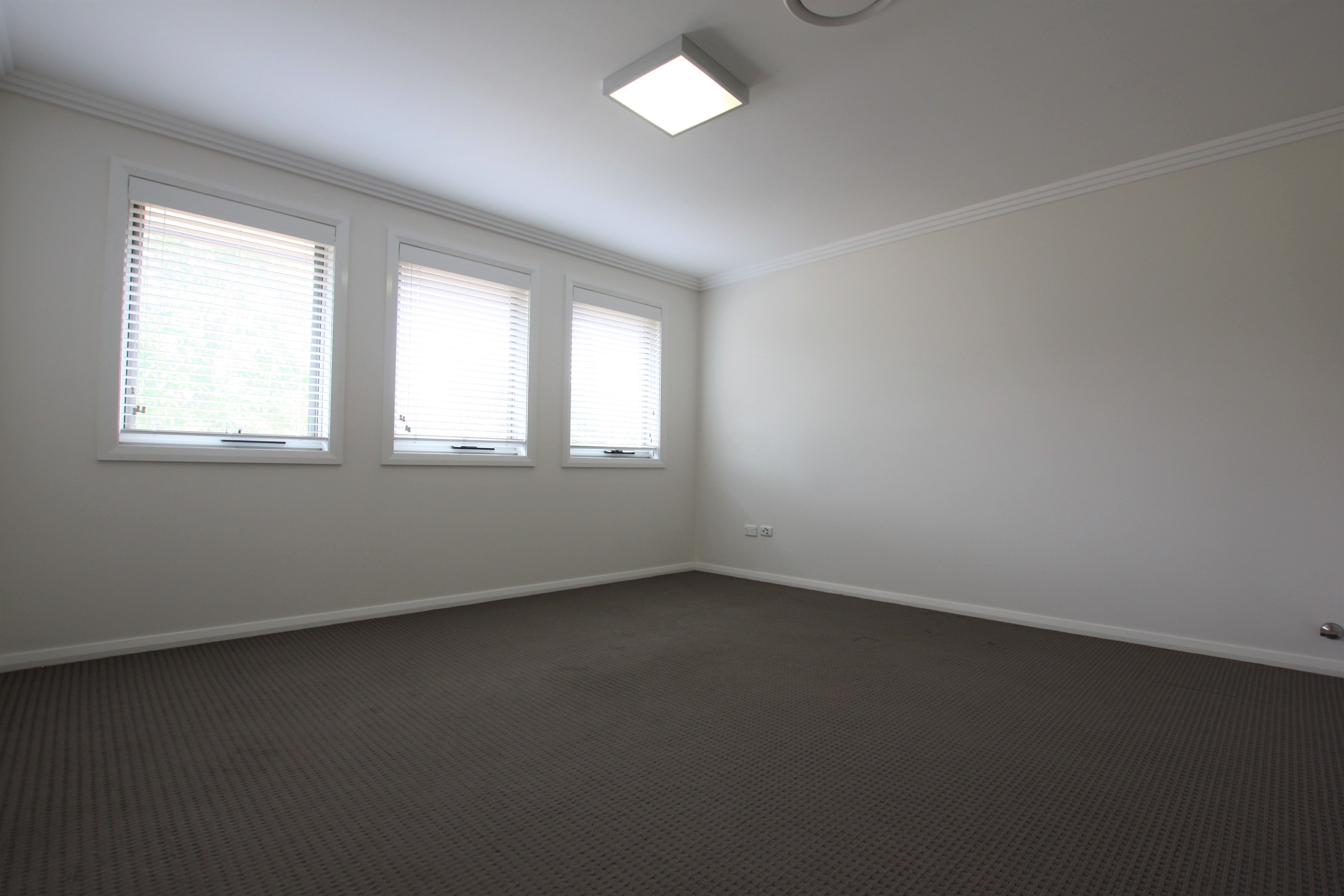 12 Alchornea Place, Mount Annan, NSW 2567