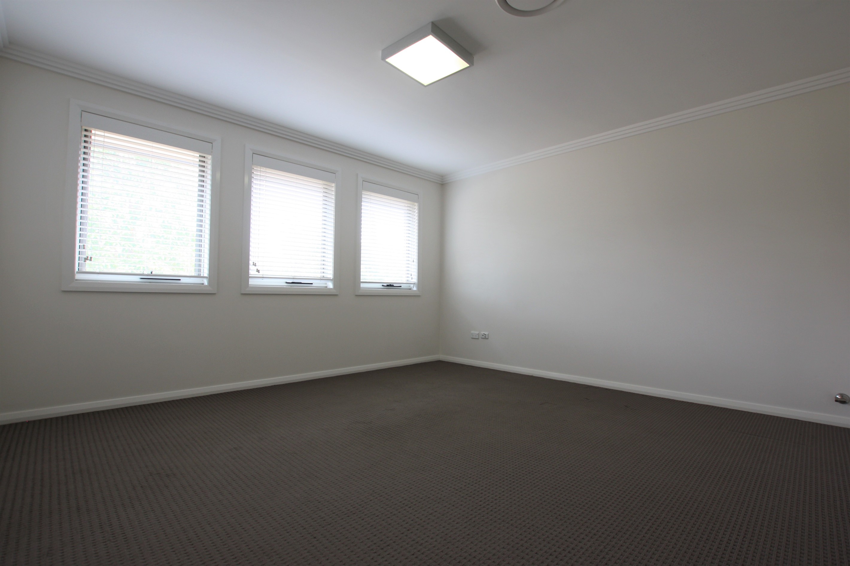12 Alchornea Place, Mount Annan, NSW 2567