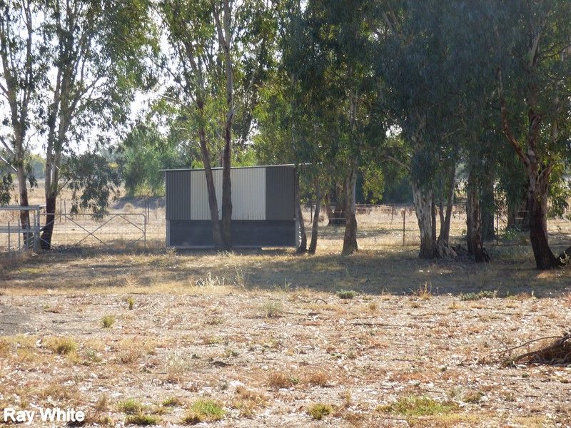 47 Show Street, Forbes, NSW 2871