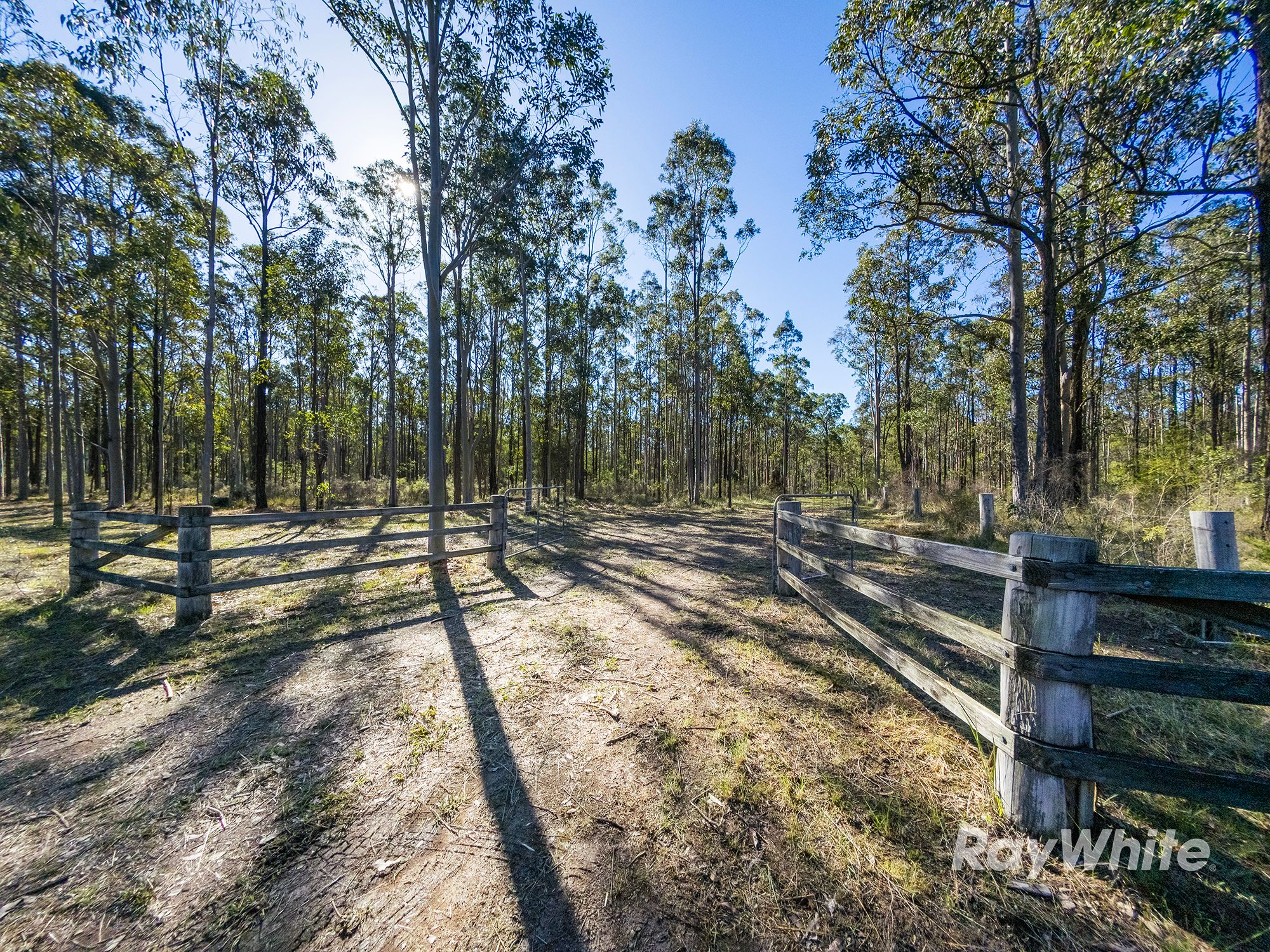 972 Limeburners Creek Road — photo 4 of 6