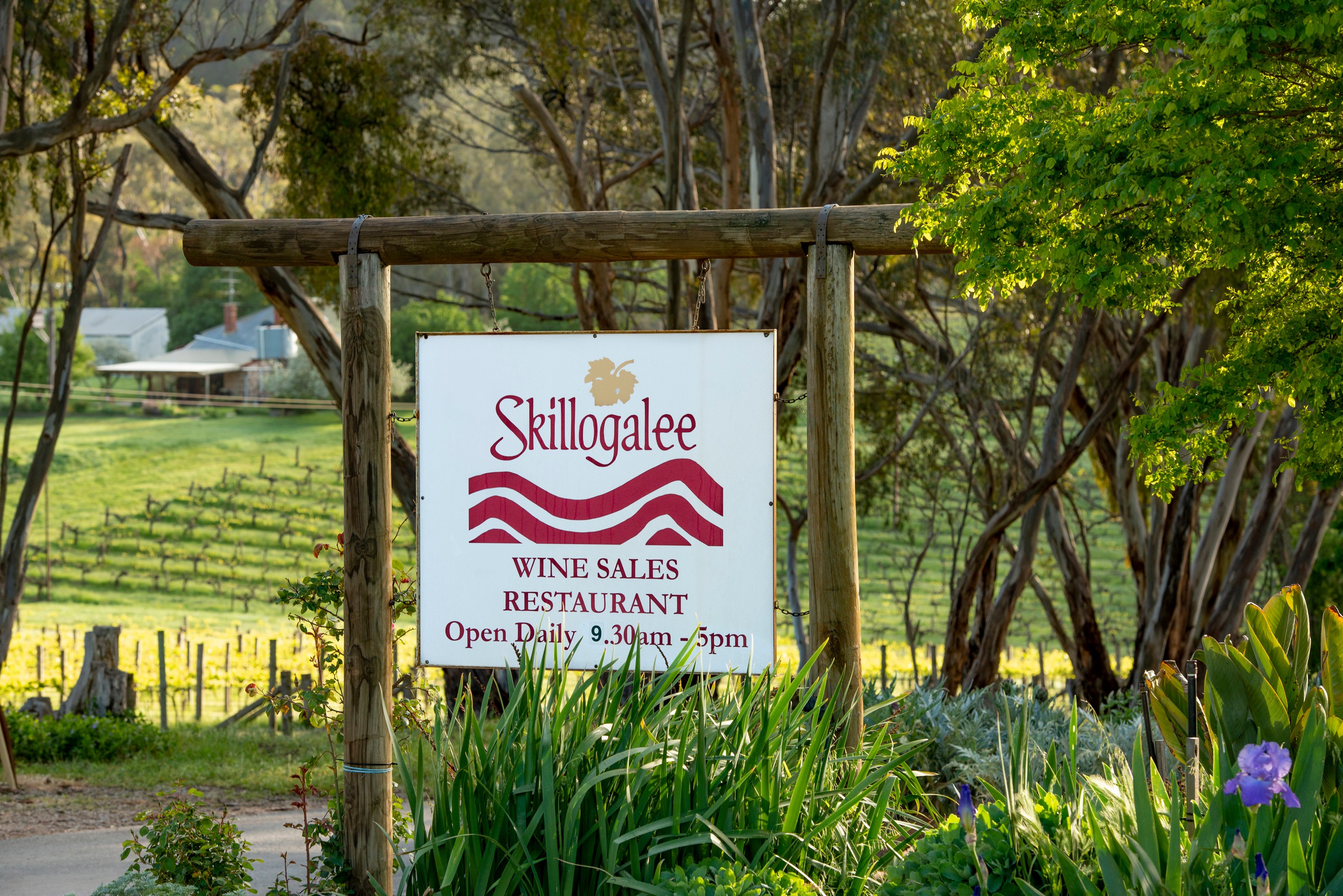 Skillogalee, Trevarrick Road, Sevenhill, SA 5453