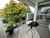 210/277 Maunganui Road photo 1