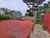 19 Hollydale Grove photo 21