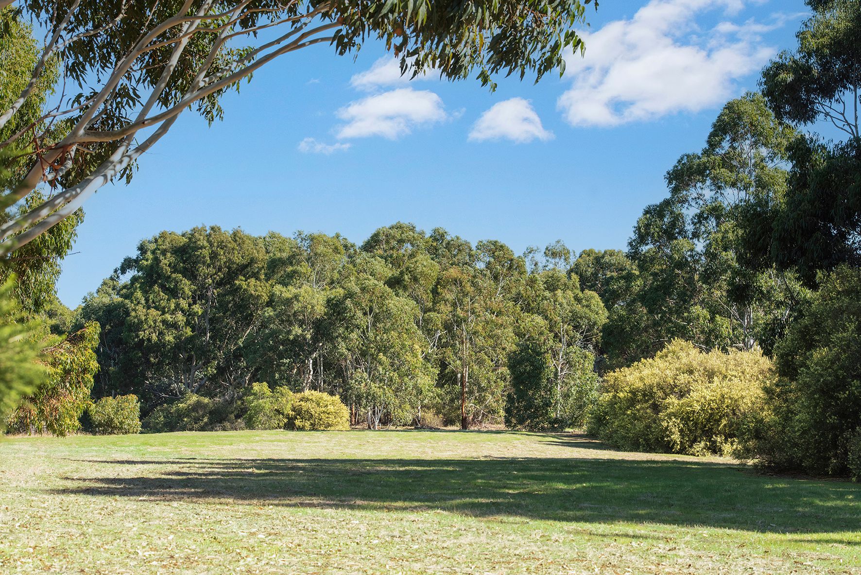 Lot PL4 93 Biddle Road, Quedjinup, WA 6281