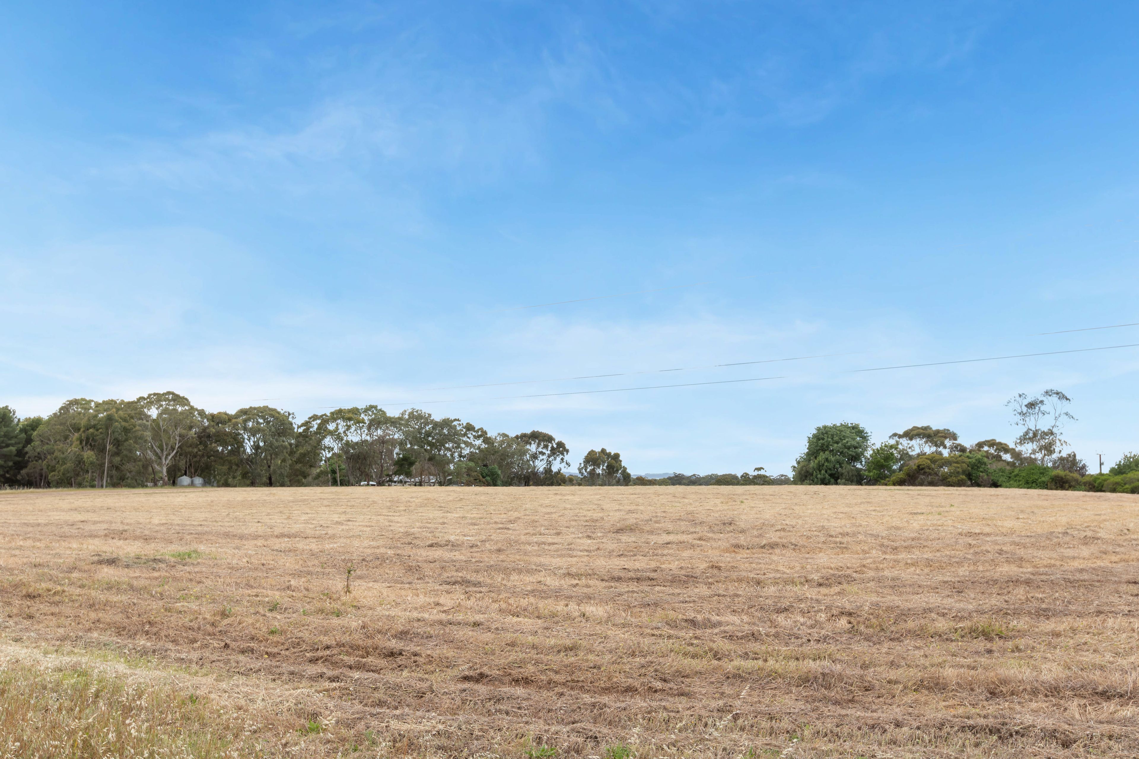 883 Black Top Road — photo 13 of 23