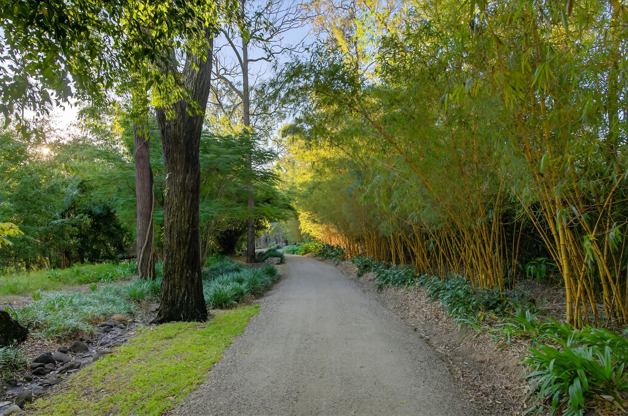 332 Gilston Road, Nerang, QLD 4211