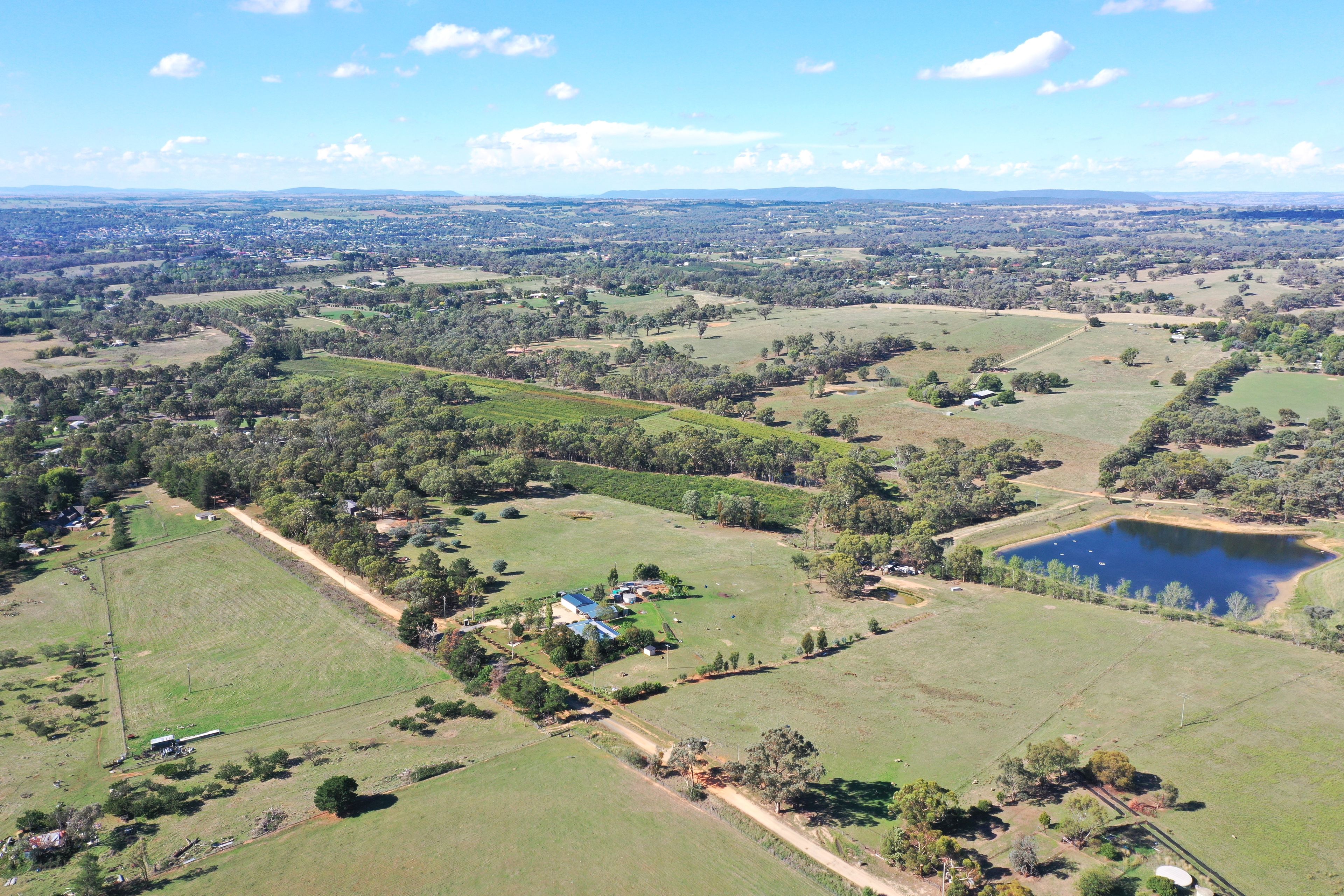 61 Tierneys Road, Young, NSW 2594