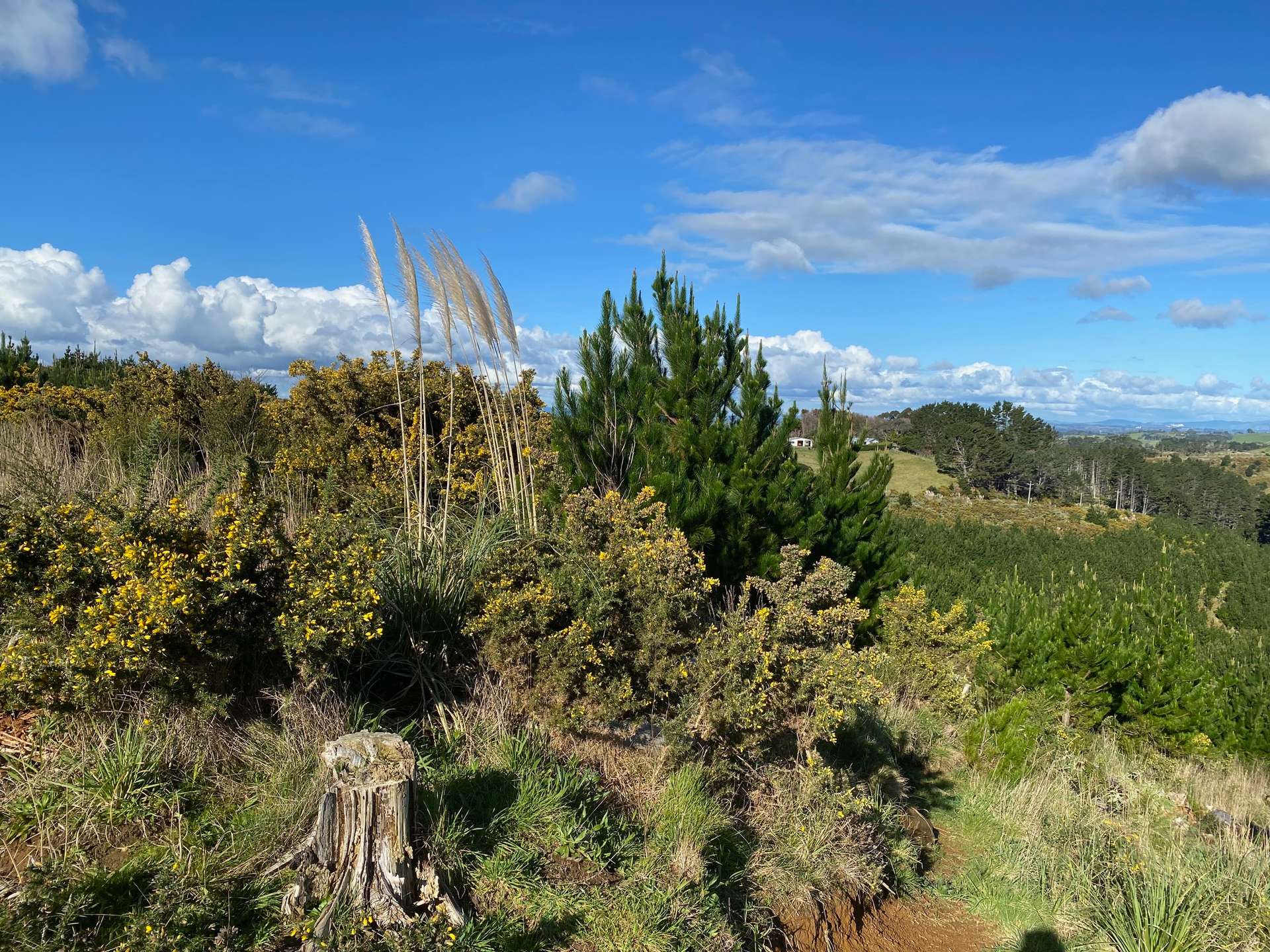 Lot 6 Tram Gully Road photo 8