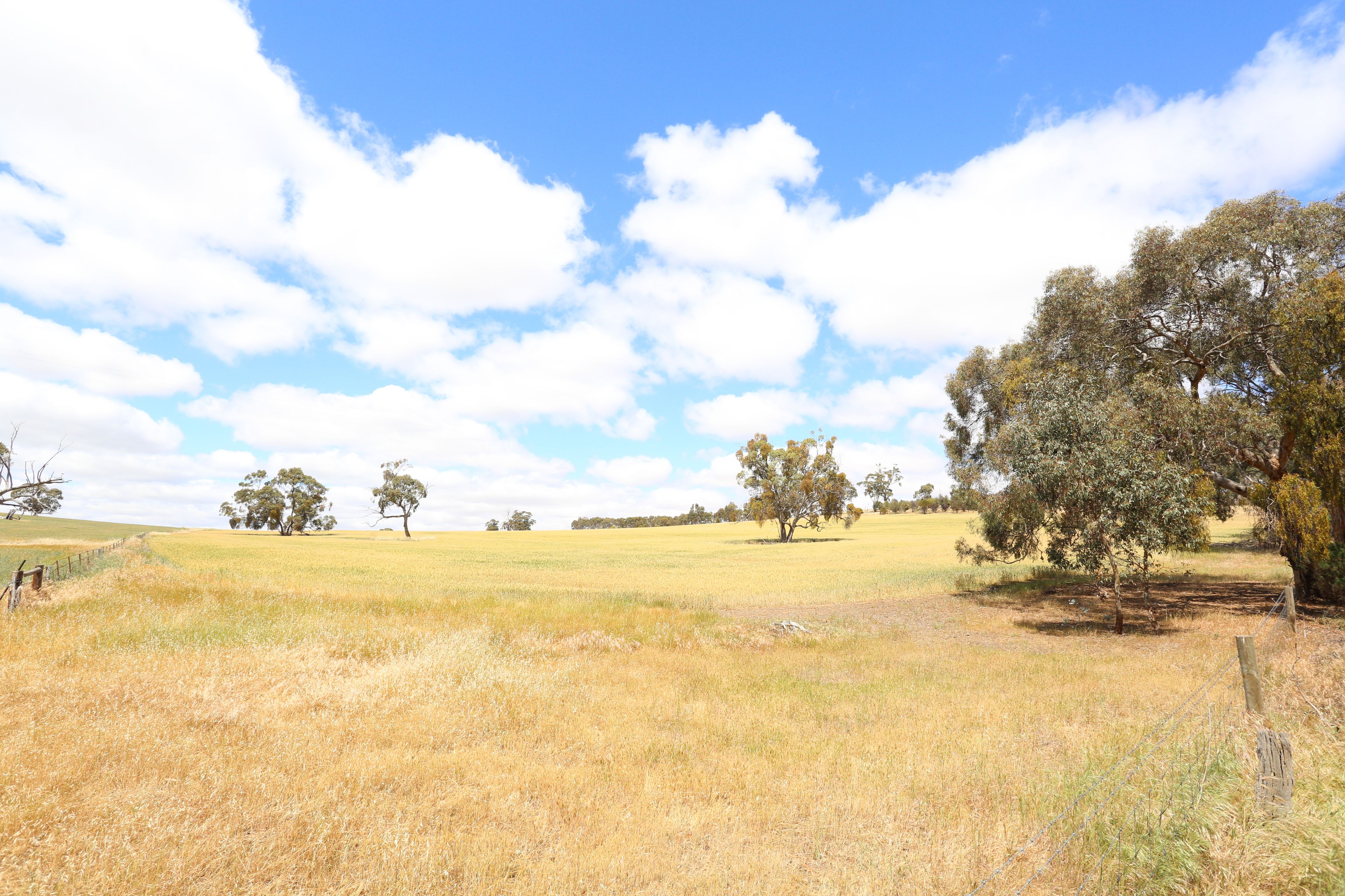 Lot 5 Koorama Road, Clare, SA 5453