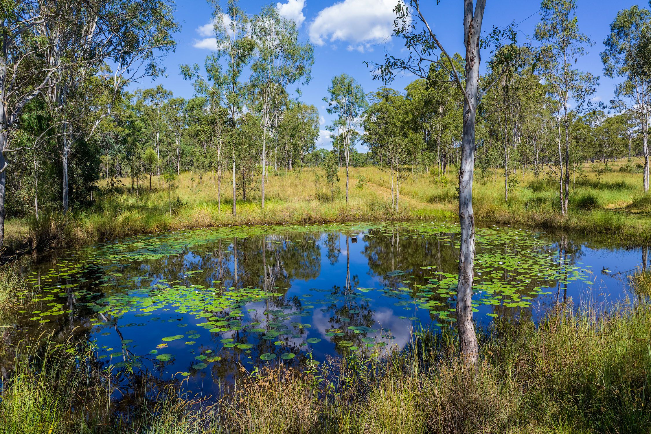 130 Little Widgee Road, Widgee, QLD 4570