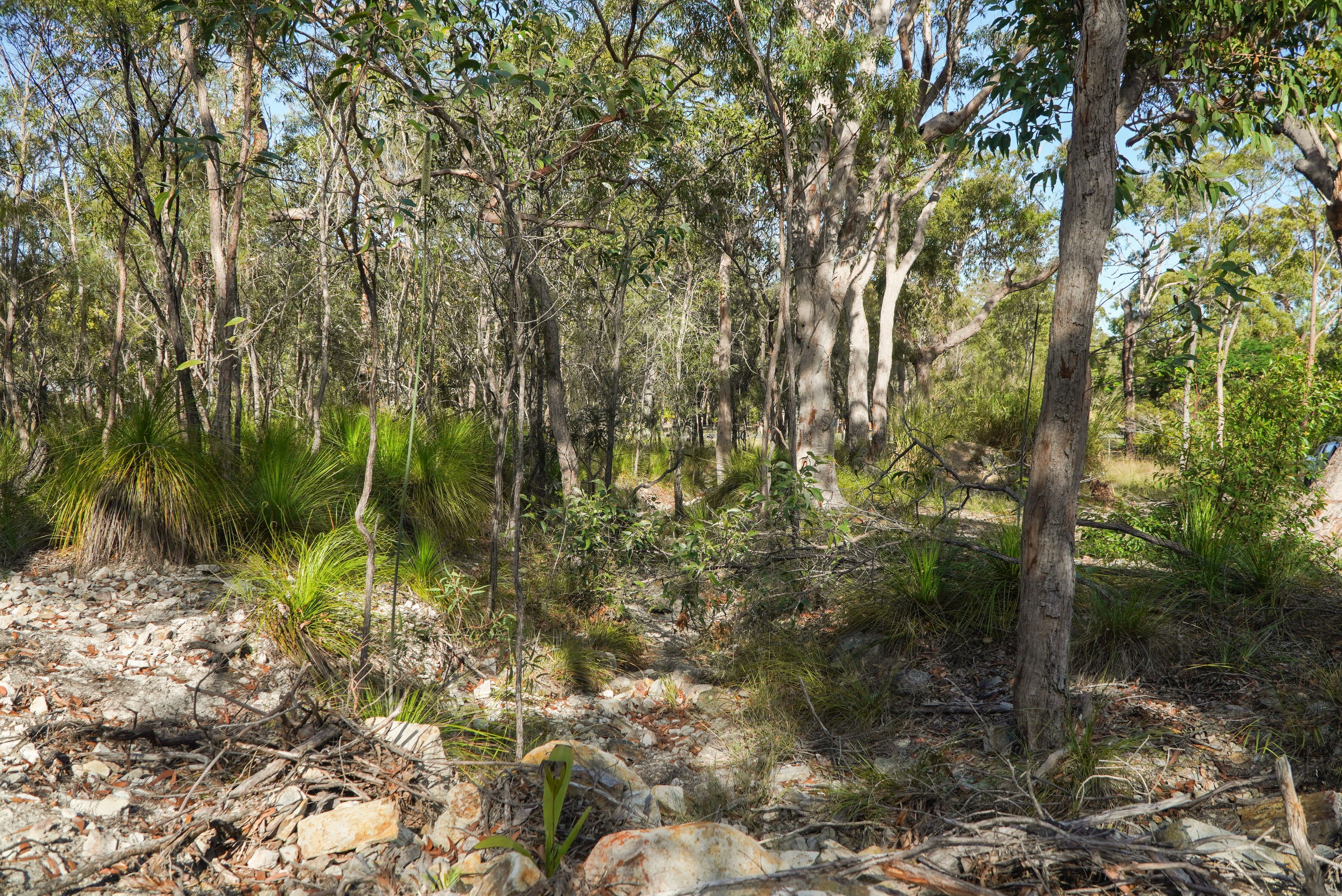 40 Jobson Road — photo 7 of 15
