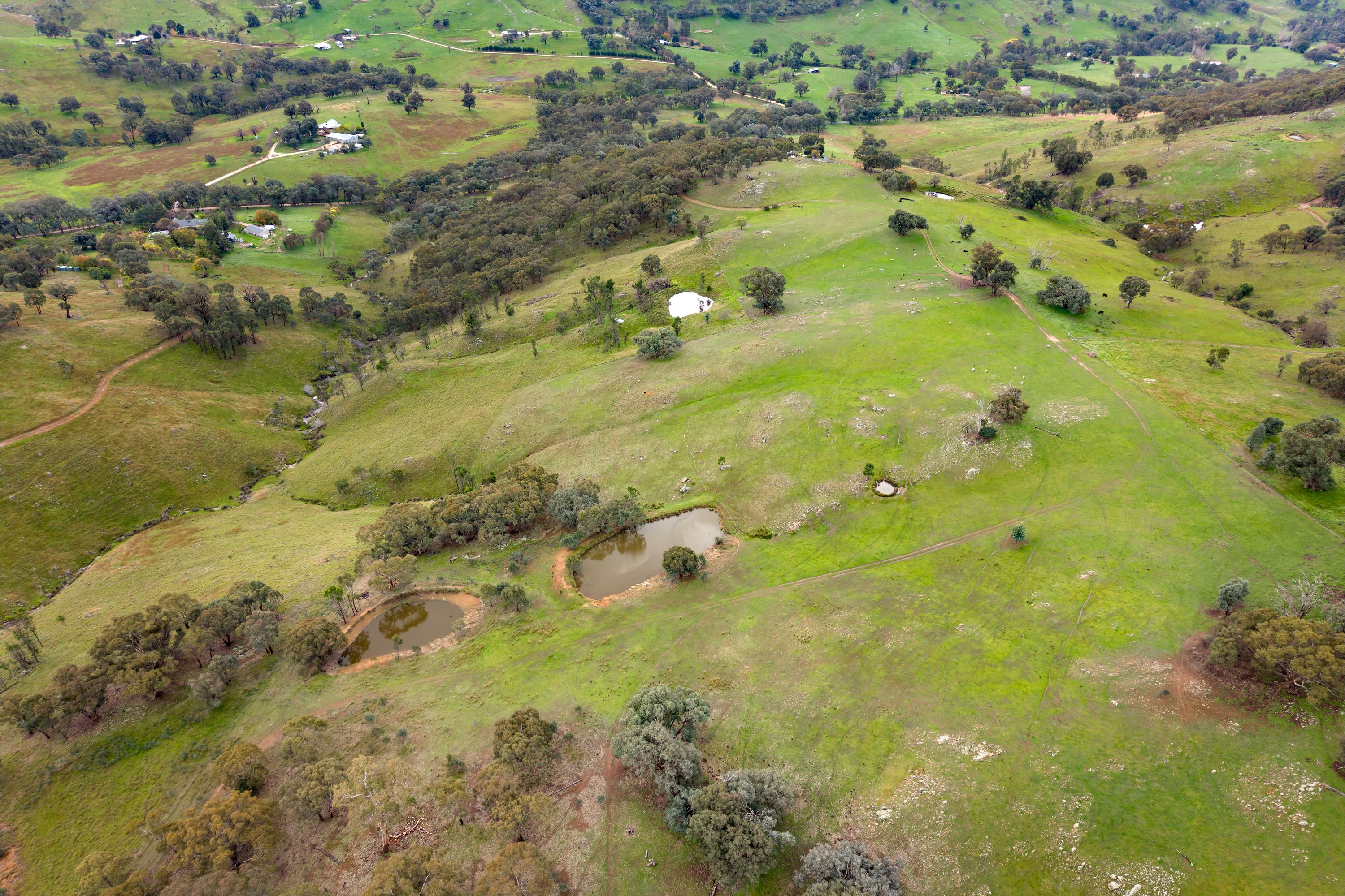 817 Huon Creek Road — photo 25 of 29