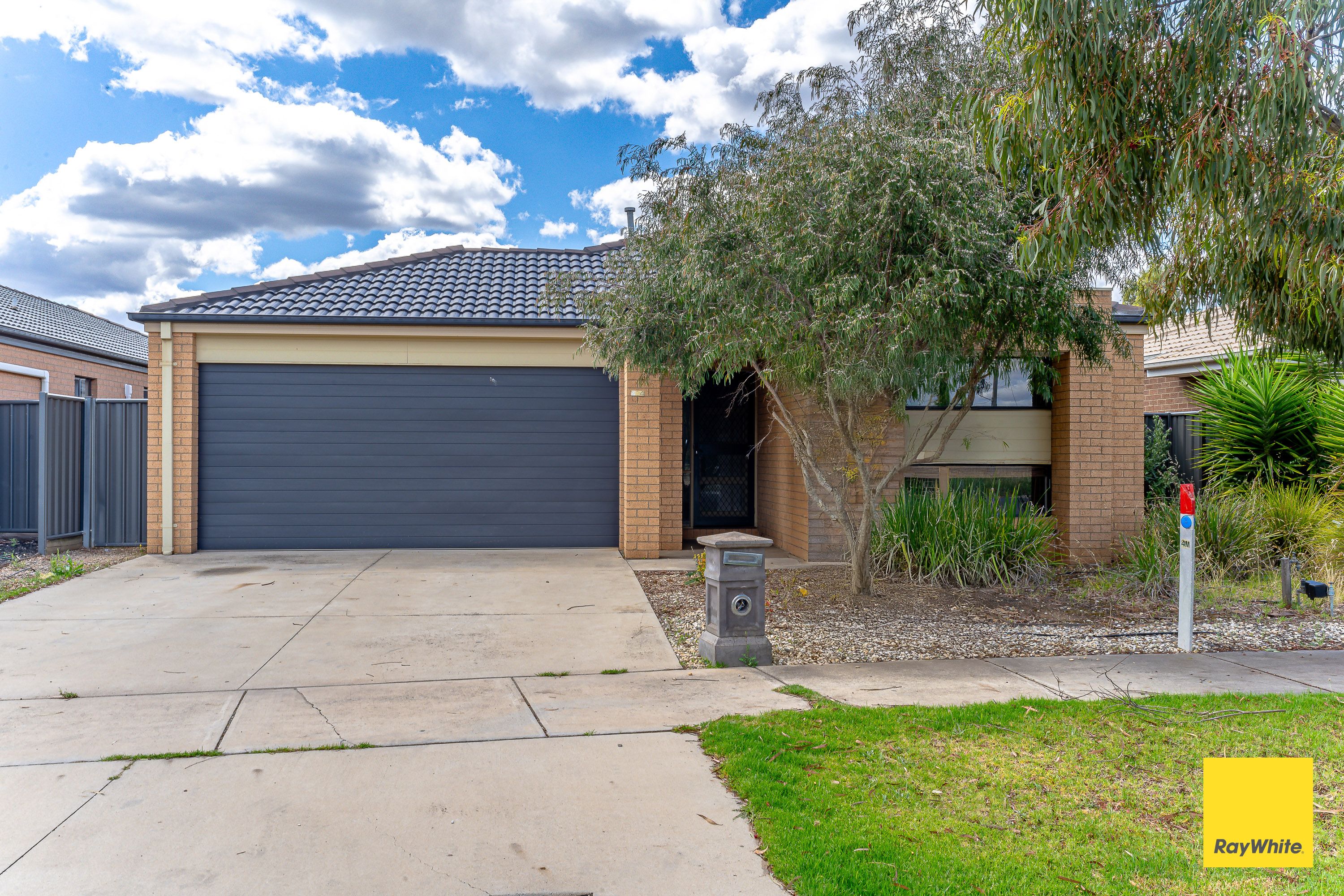 234 Jobs Gully Road, Jackass Flat, VIC 3556