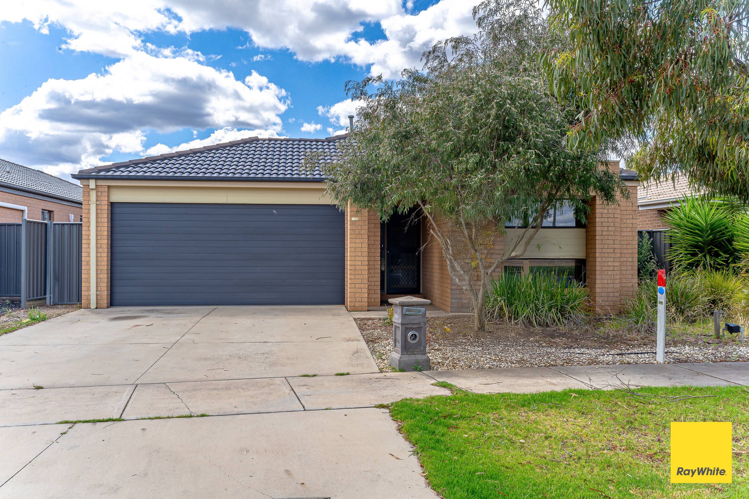 234 Jobs Gully Road, Jackass Flat, VIC 3556