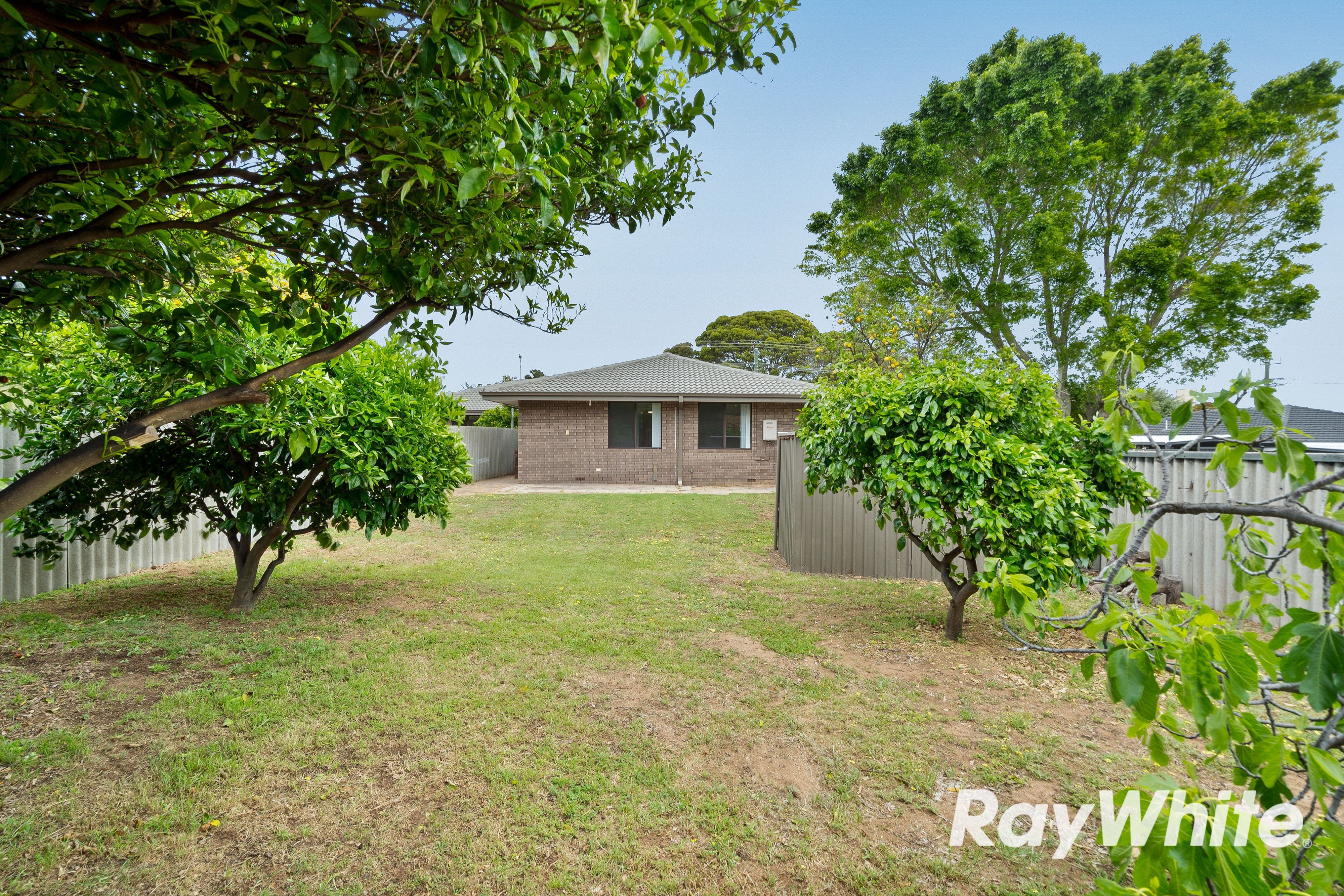 8B Cathryn Street — photo 14 of 21