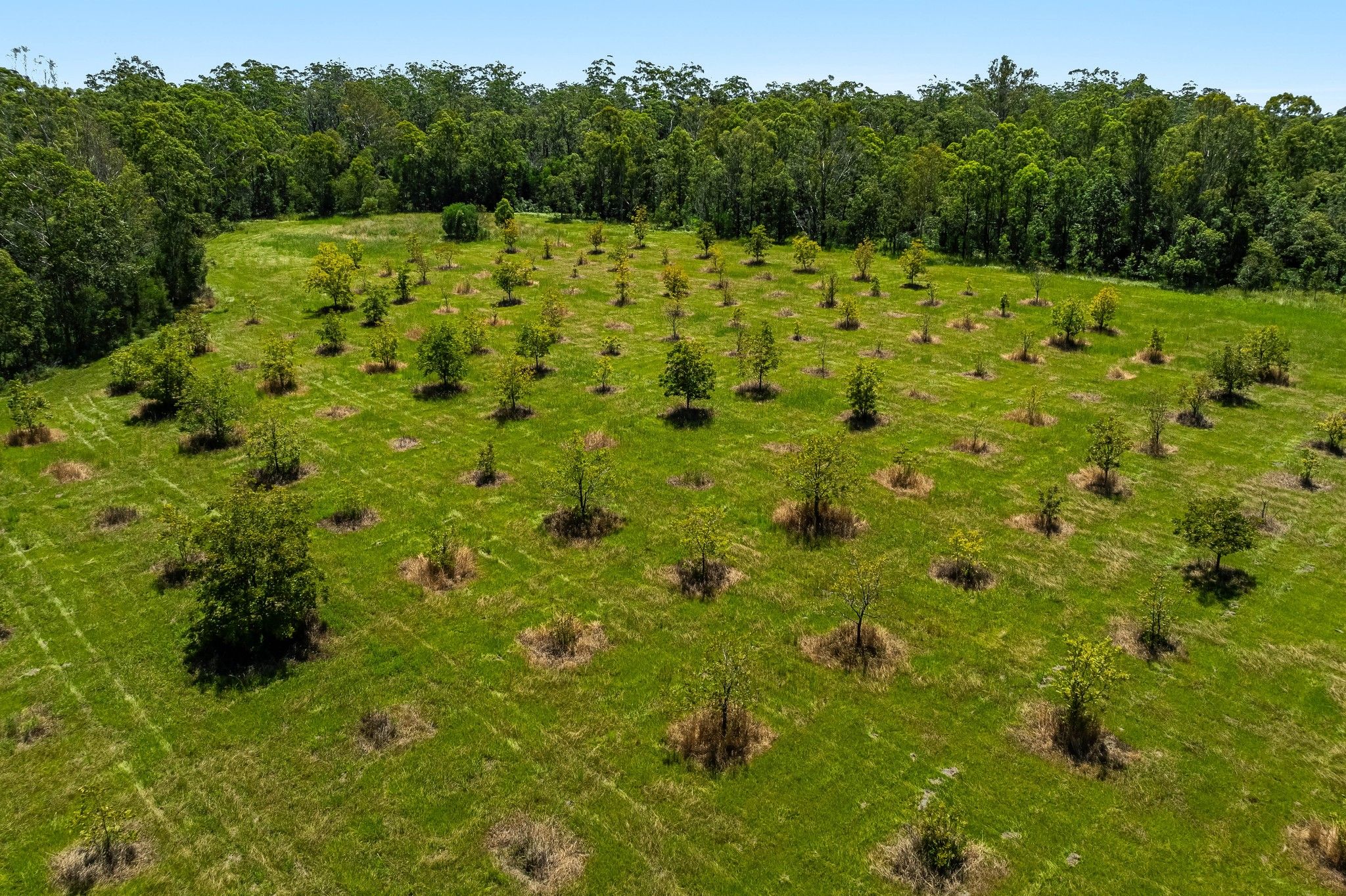1190 Bungawalbin Whiporie Road — photo 19 of 30