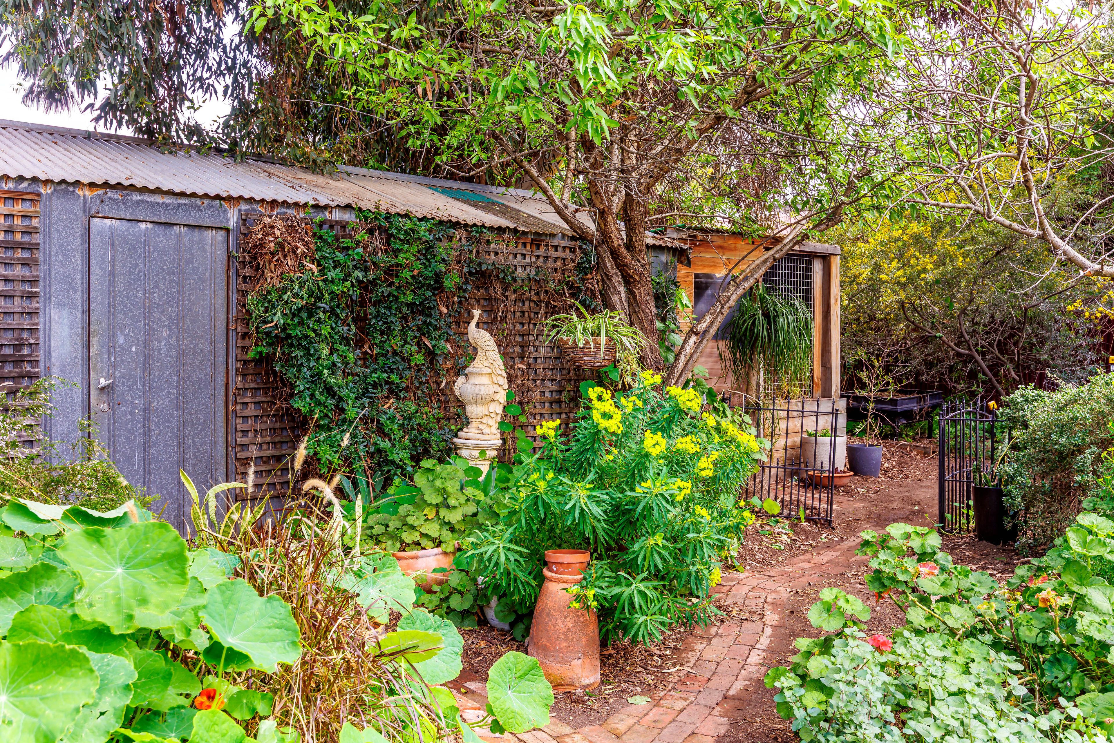 15 Harvey Street — photo 24 of 30