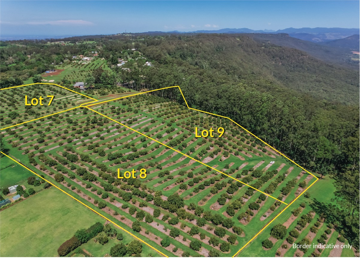Lot 7 41-43 Manitzky Road, TAMBORINE MOUNTAIN, QLD 4272