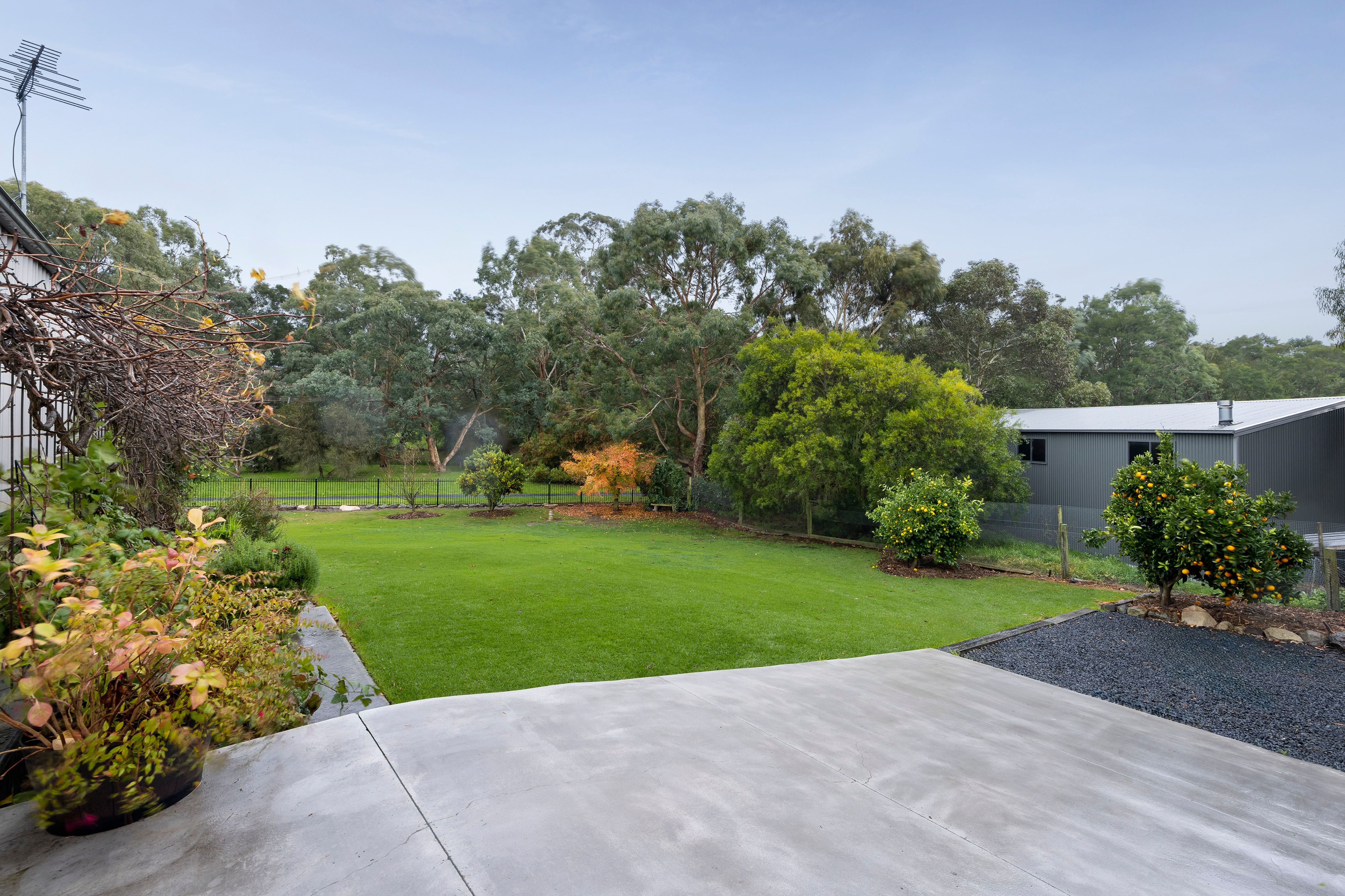 12 Muir Court — photo 17 of 24