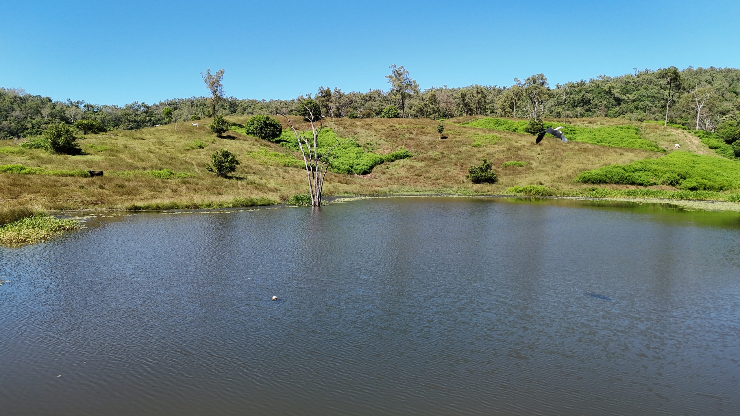 488 Upper Alligator Creek Road, Sarina, QLD 4737