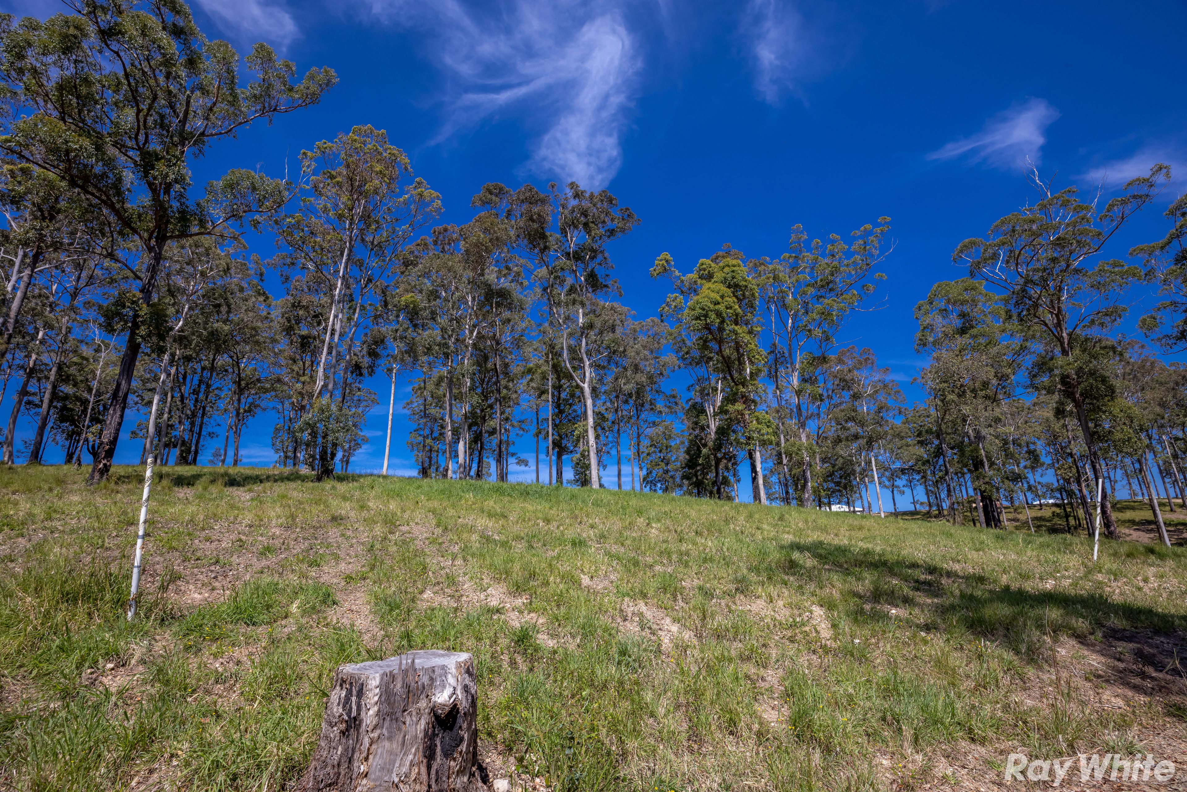 Lot 6 Tallwoods Drive 'Summerland Estate', Hallidays Point, NSW 2430