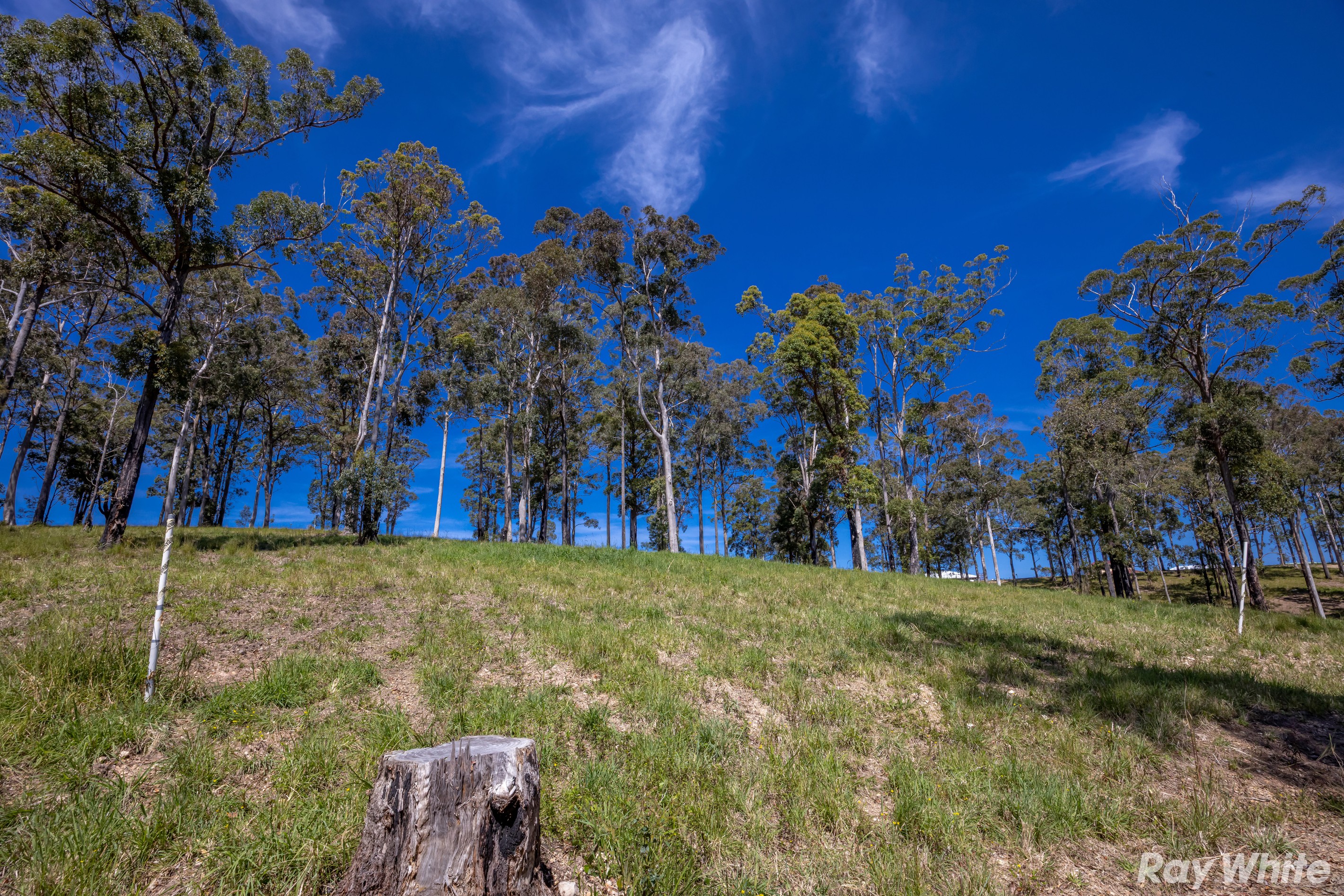 Lot 6 Tallwoods Drive 'Summerland Estate', Hallidays Point, NSW 2430