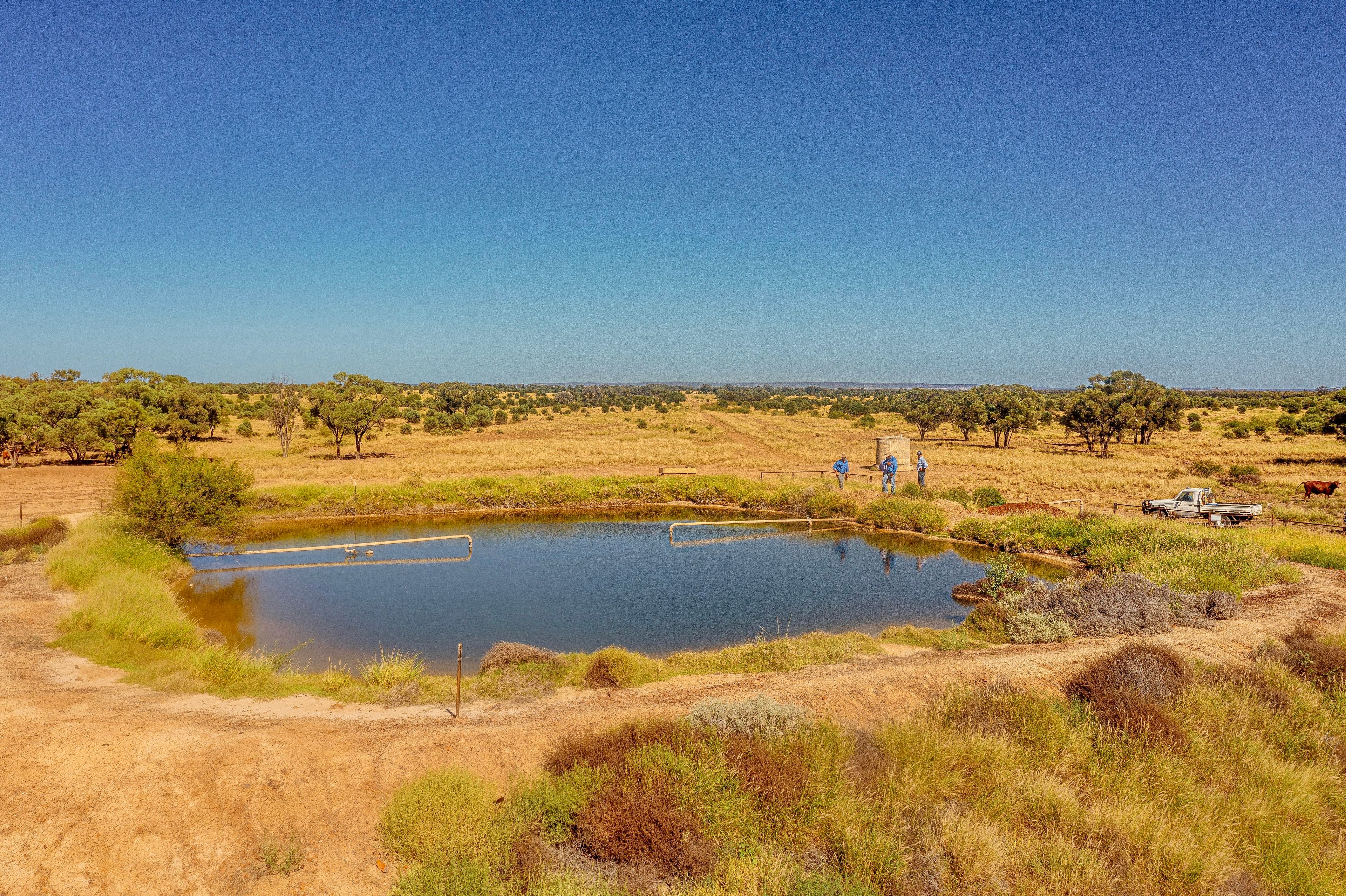 "Gowan" 6735 Adavale Road, Blackall, QLD 4472 Rural Livestock Property for Sale Ray White