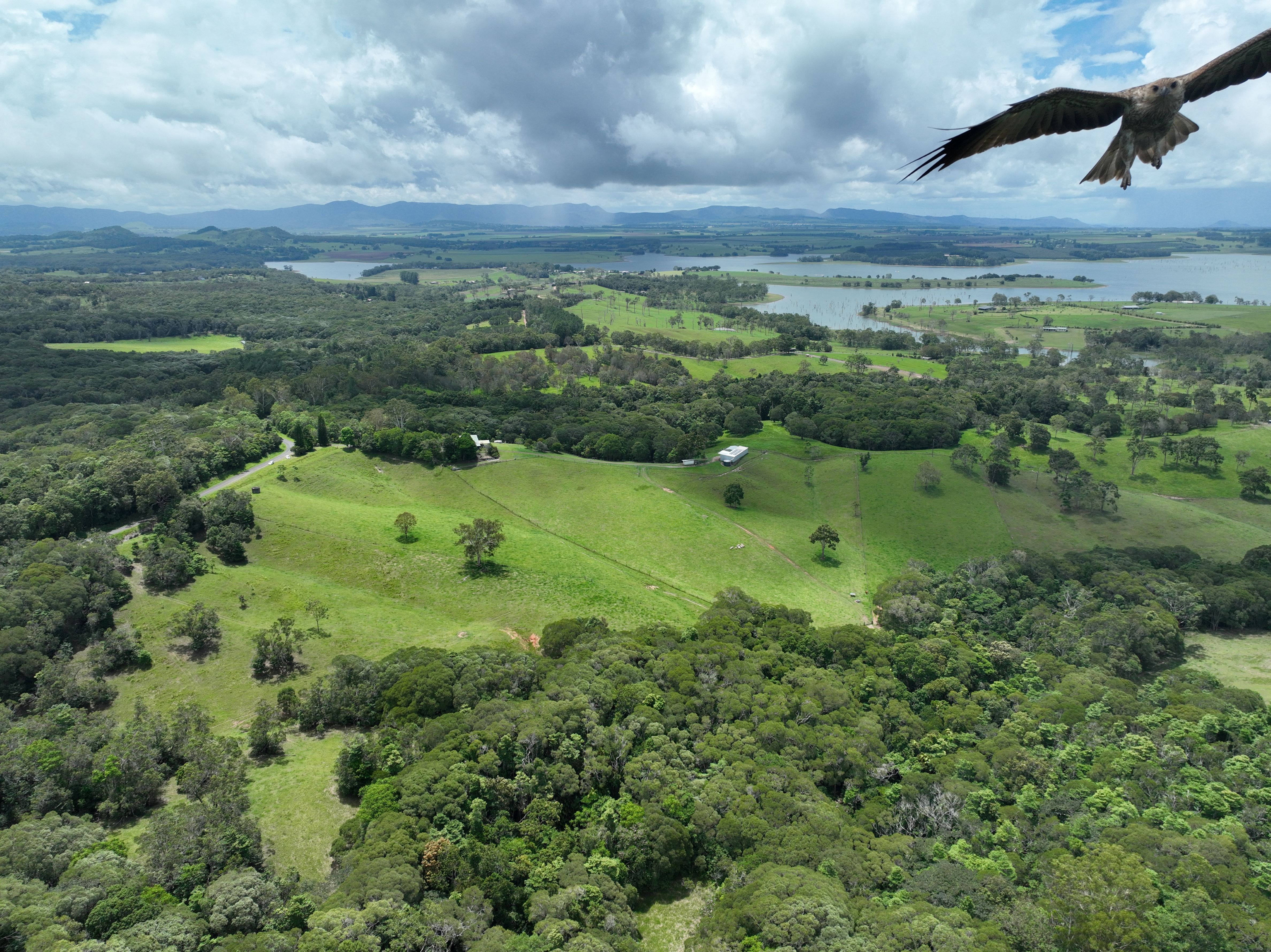 551 Russell Pocket Road, Barrine, QLD 4872