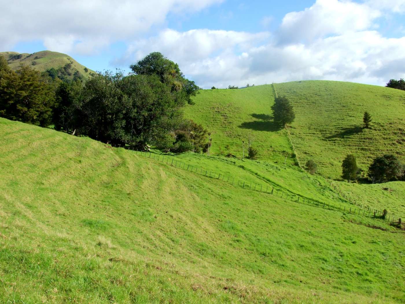 185 Takahue Saddle Road photo 8