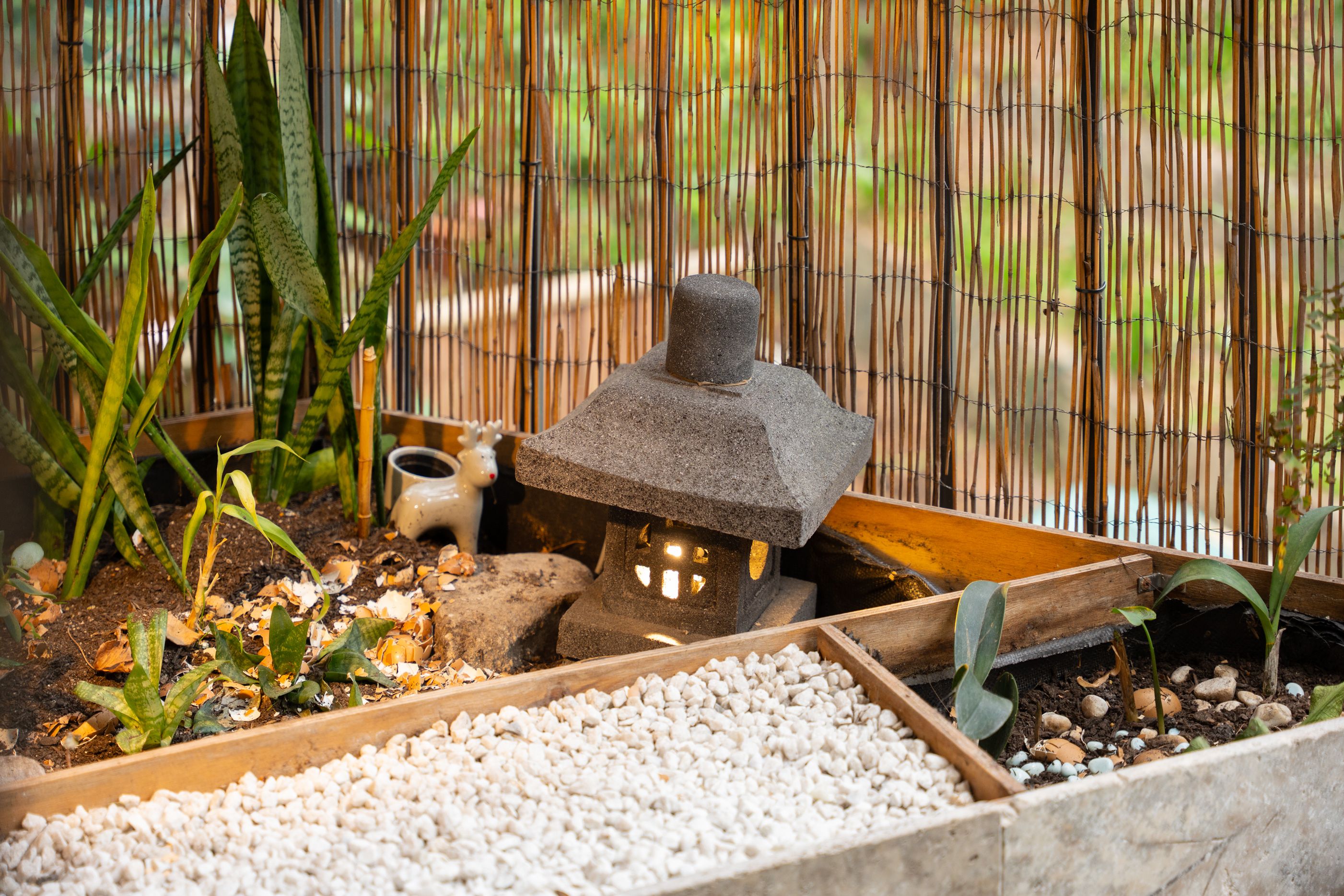 10/10-16 Parkes Road — photo 9 of 12