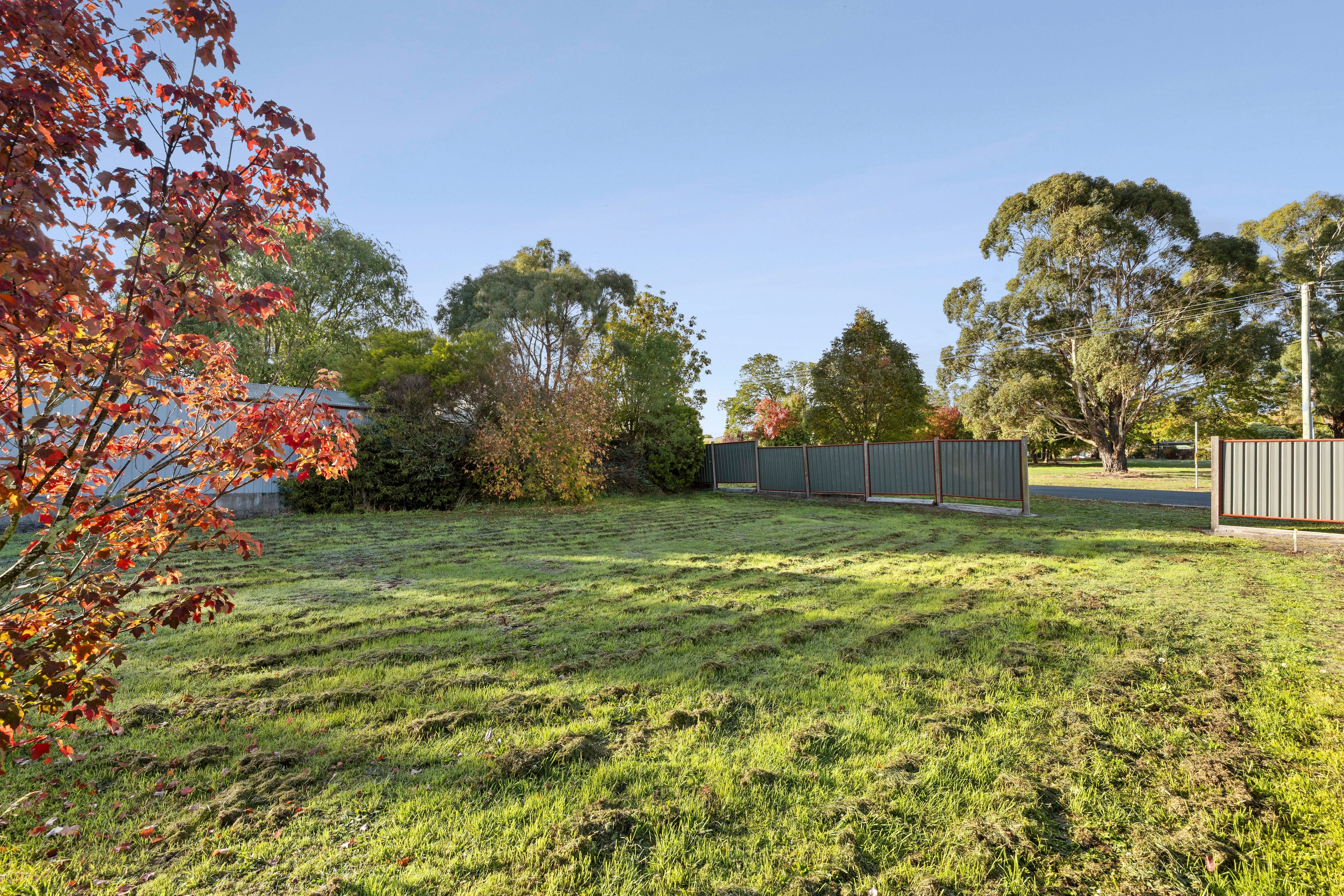 77 Ebden Street — photo 4 of 13