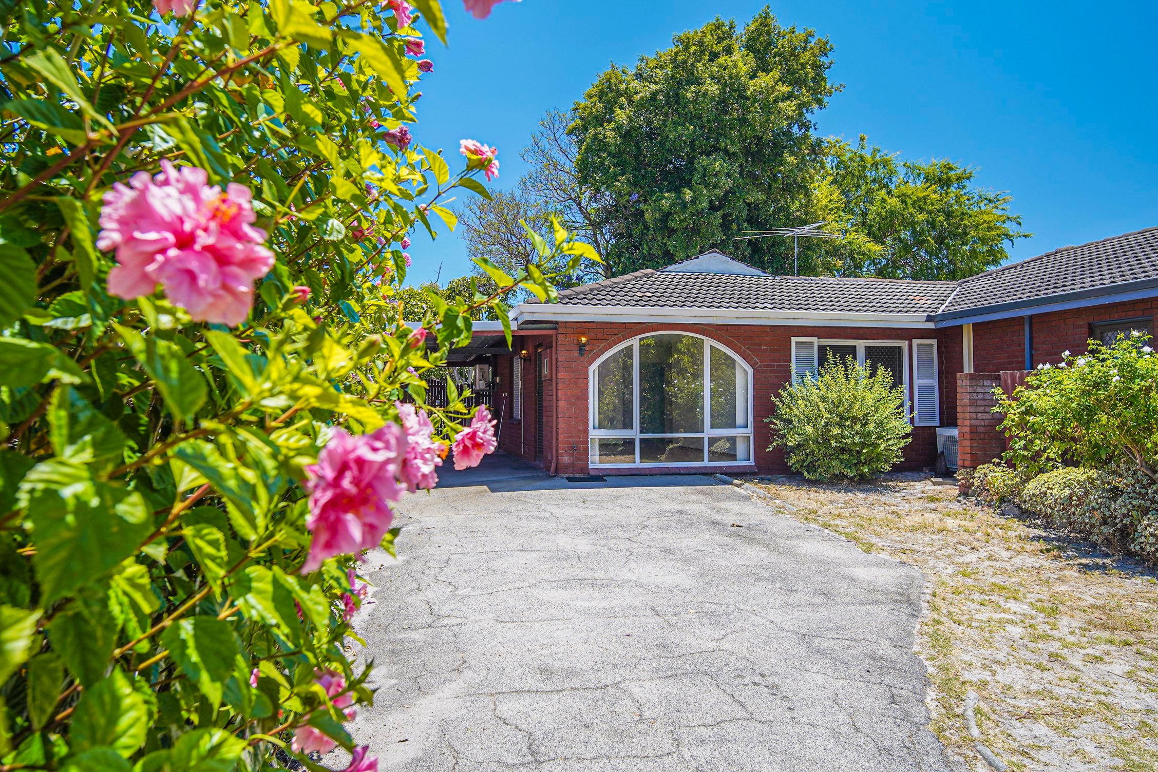 85B Modillion Avenue South, Shelley, WA 6148